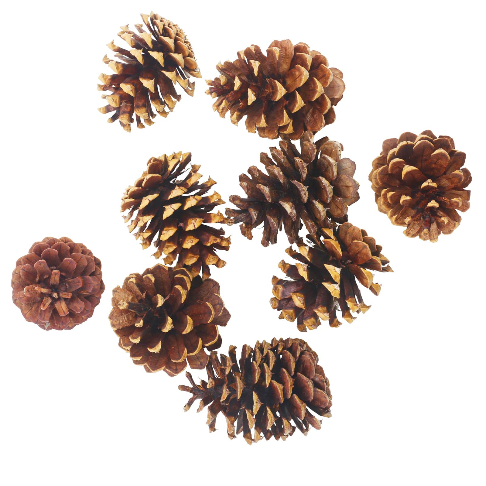 7oz. Pine Scented Pinecones by Ashland&#xAE;