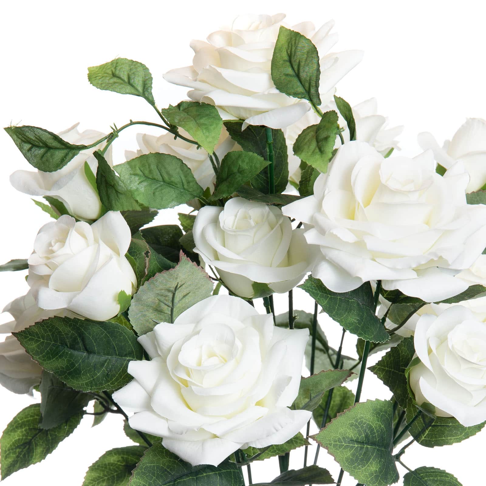 White Rose Bush by Ashland®