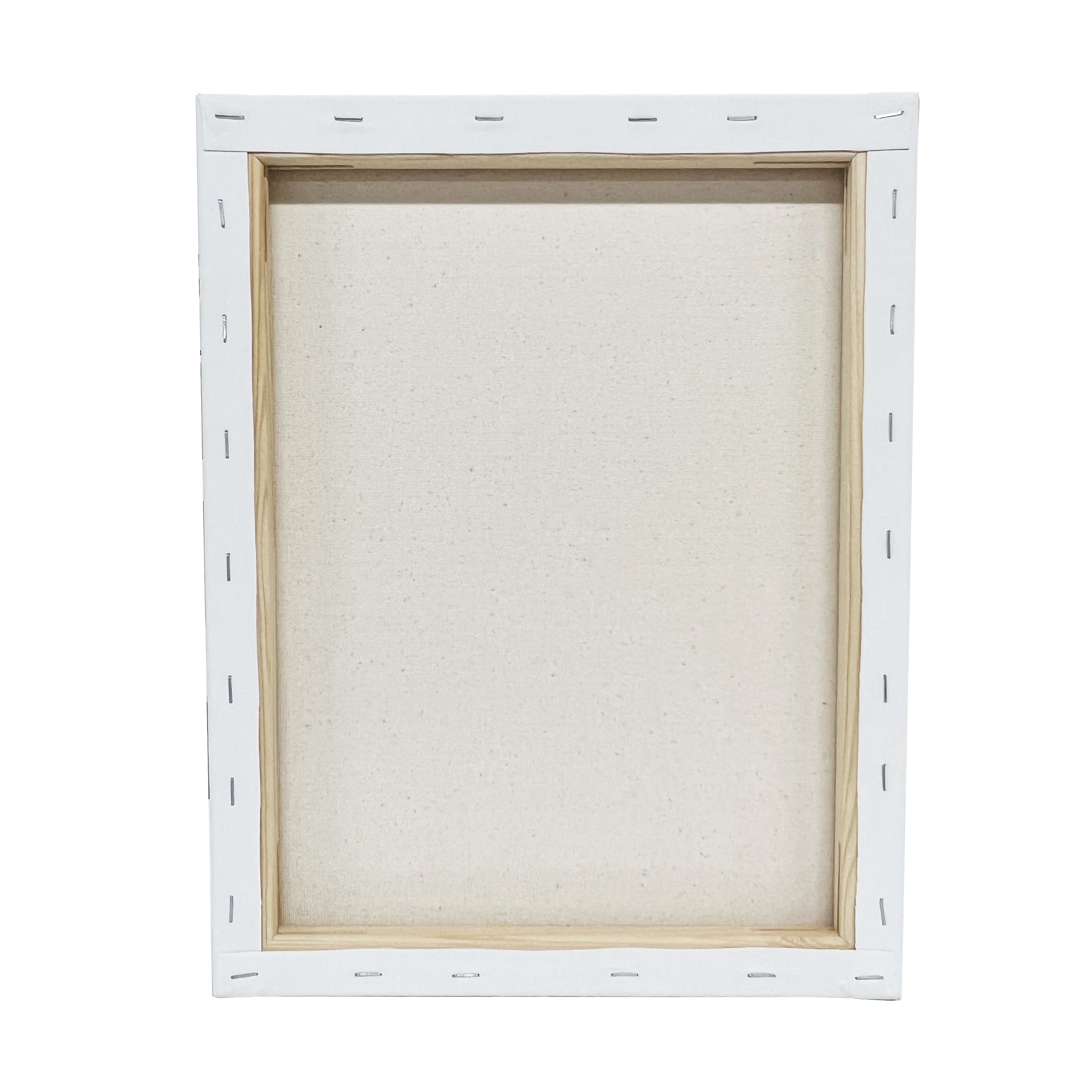 2 Pack Value Canvas by Artist's Loft