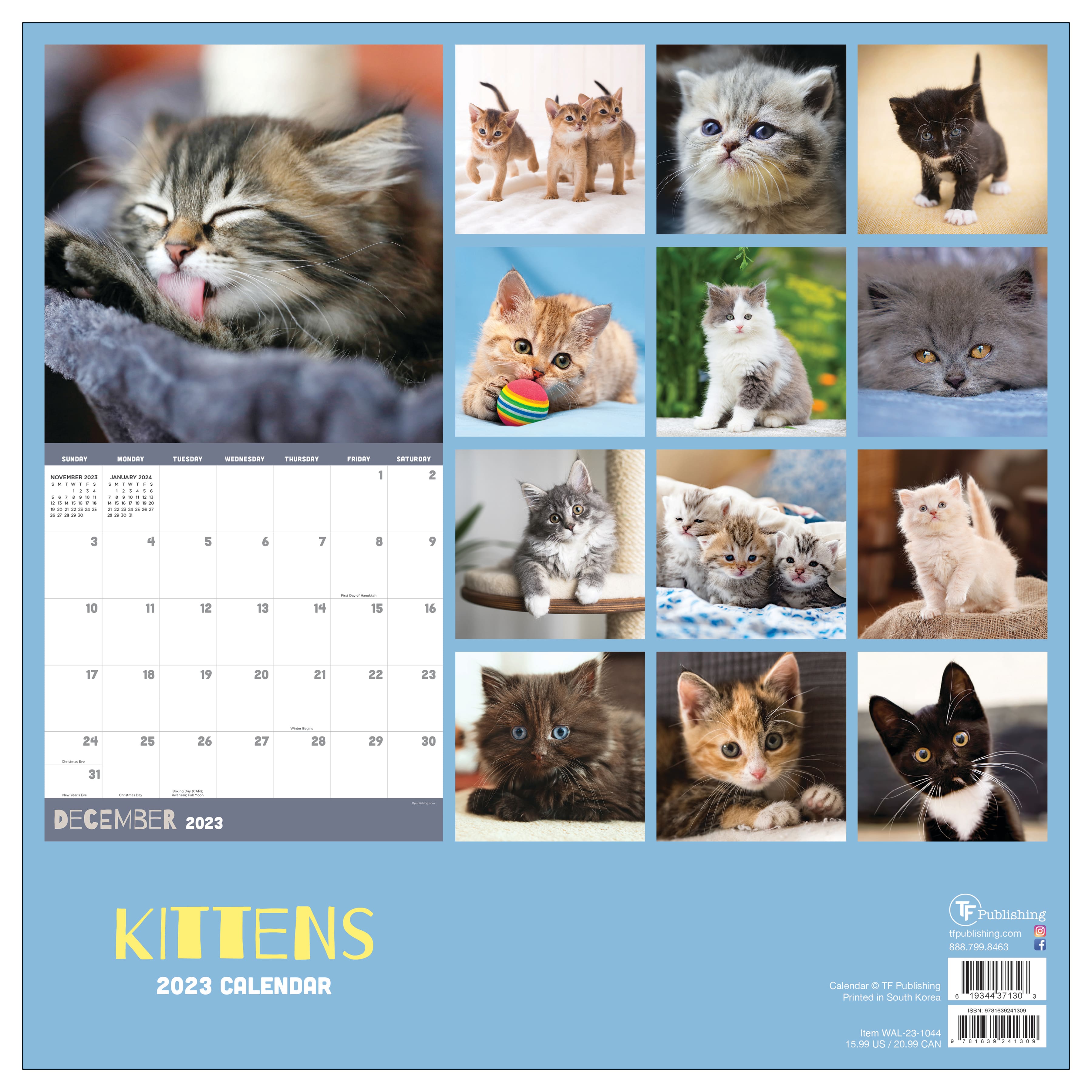 TF Publishing 2023 Kittens Wall Calendar | Michaels