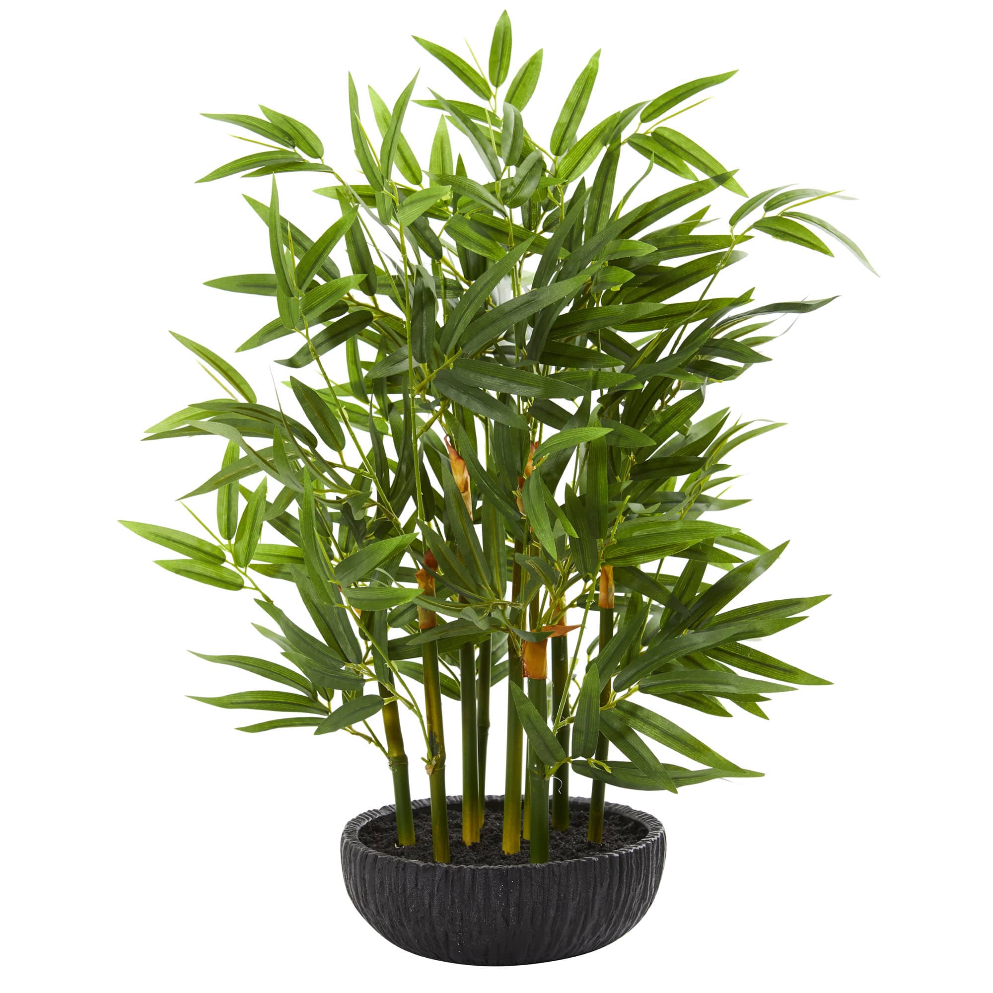 20&#x22; Potted Bamboo Tree