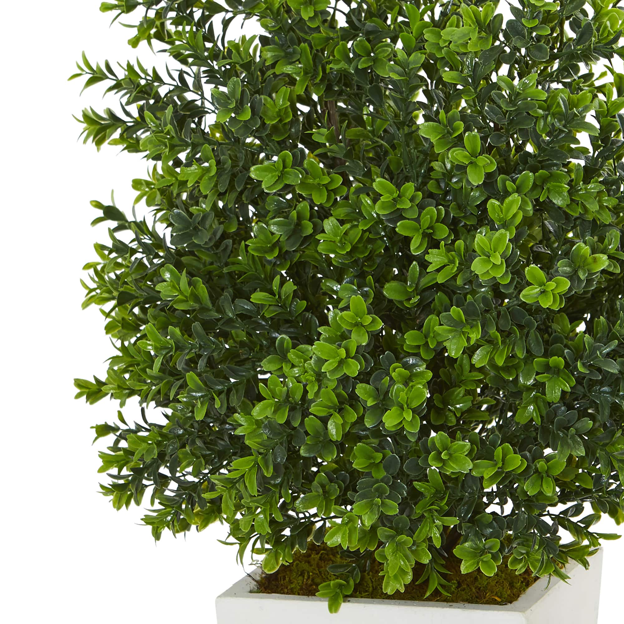 2.75ft. Sweet Grass Plant in White Tower Planter