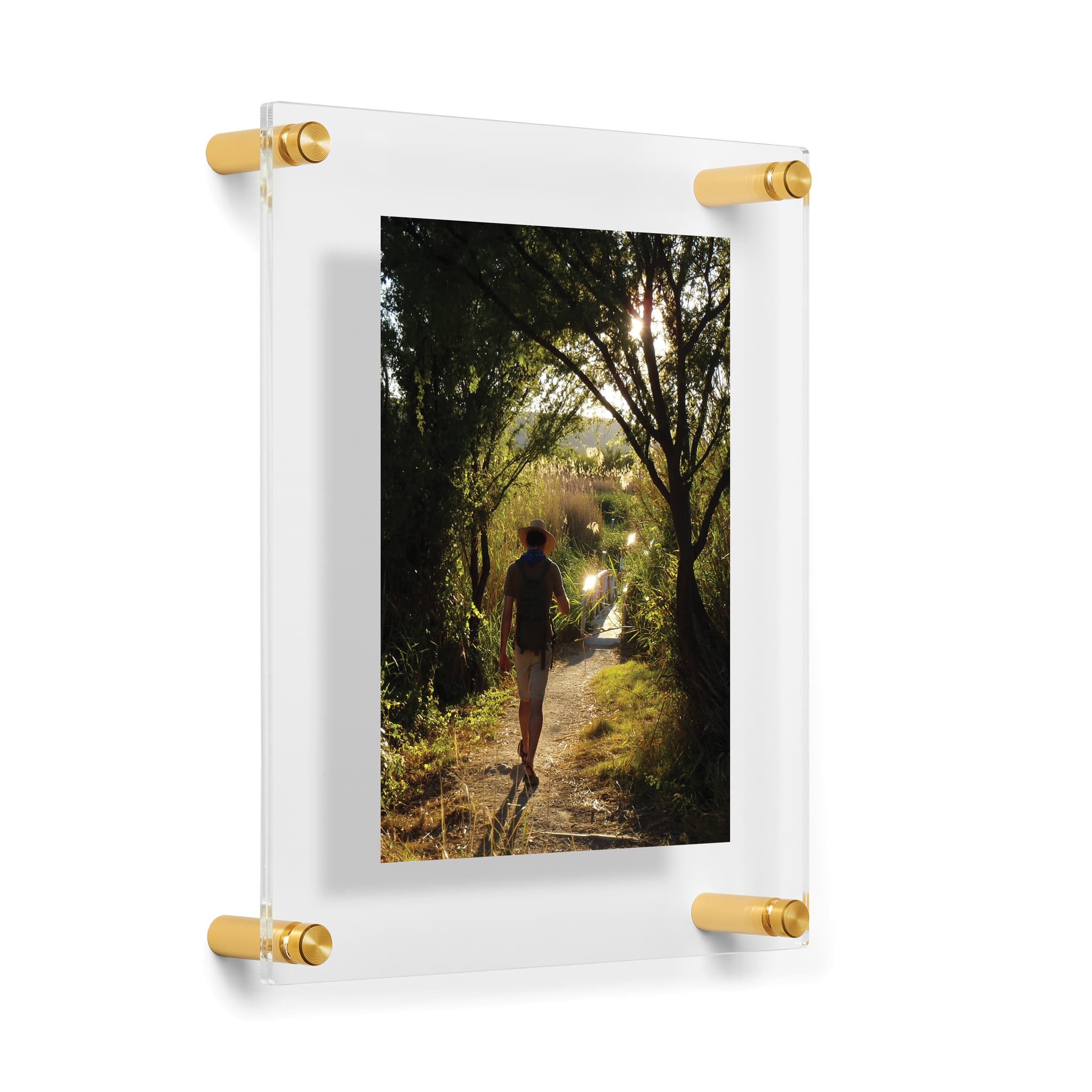 Wexel Art Double Panel Clear Acrylic Floating Wall Frame with Gold Hardware
