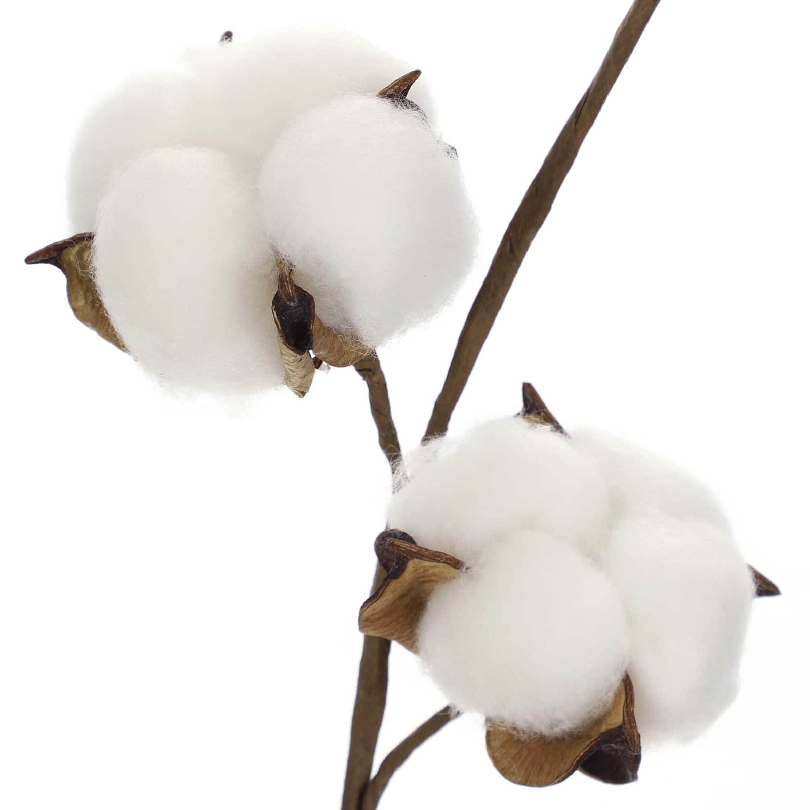 16 Pack: Cotton Stem by Ashland&#xAE;