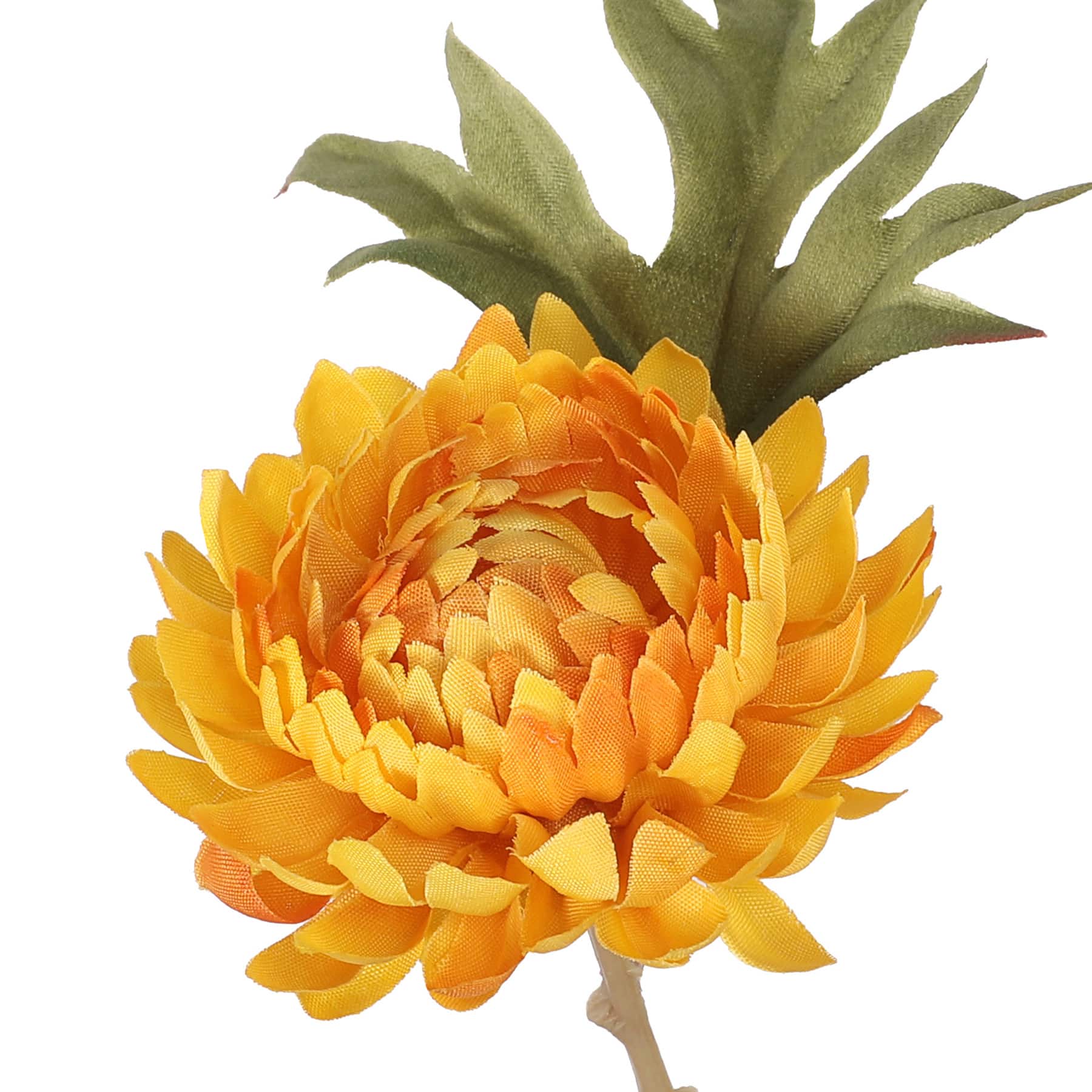 32&#x22; Wild Mum Stem with 5 Flowers by Ashland&#xAE;