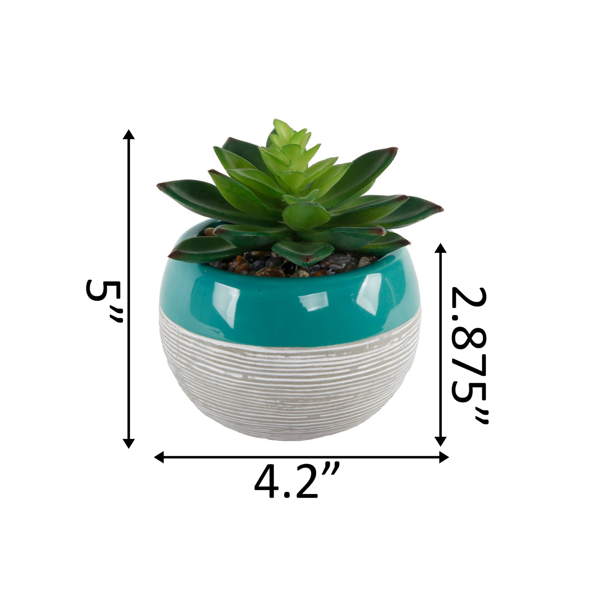 Flora Bunda&#xAE; Succulent In Two Tone Pattern Teal Ceramic Pot 