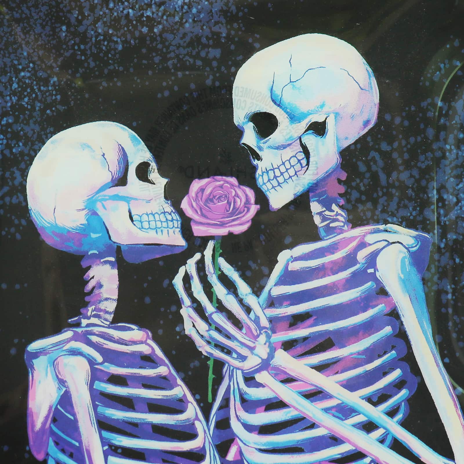 6&#x22; x 6&#x22; Skeletons Glass Plate by Ashland&#xAE;