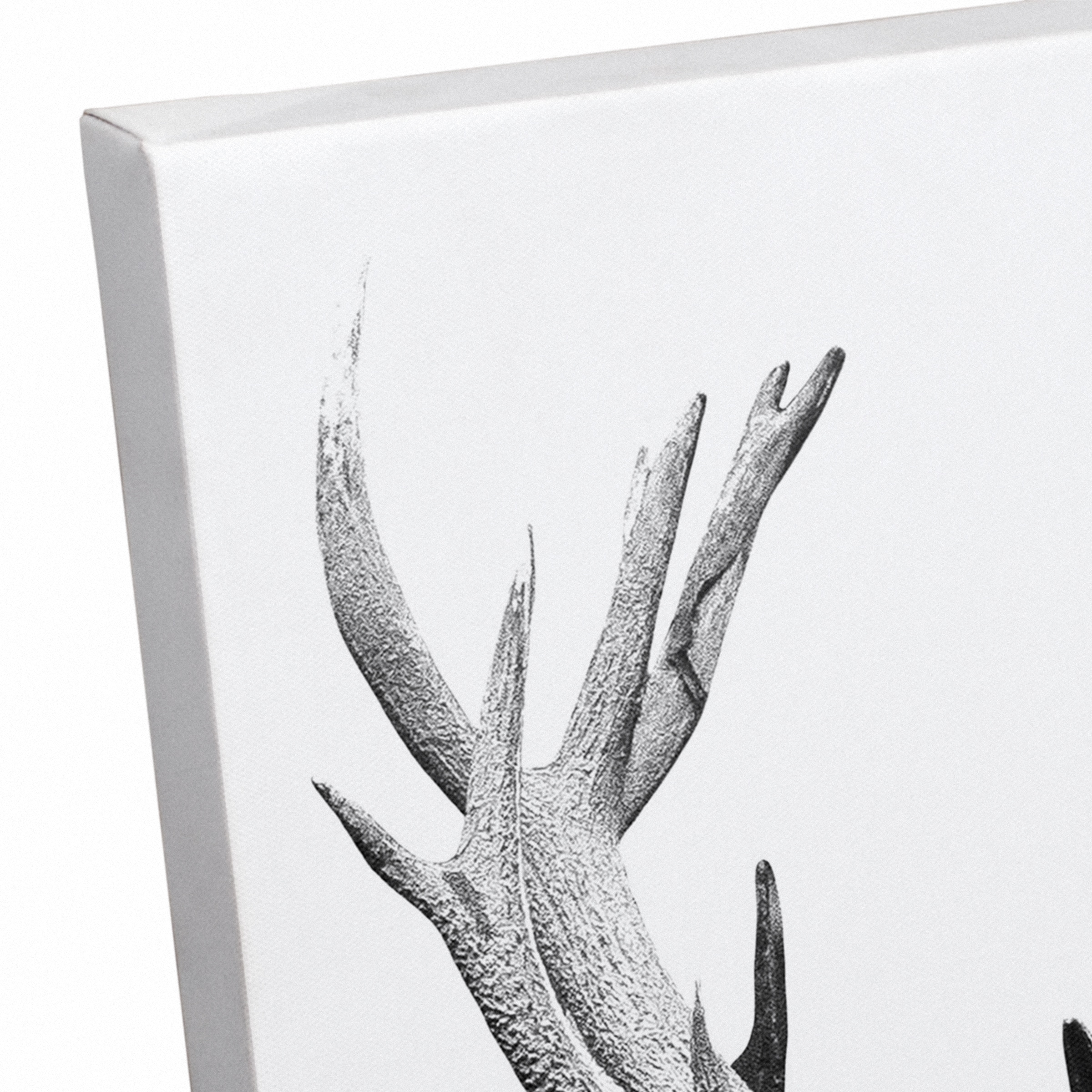 Deer Antlers 11&#x22; x 14&#x22; Canvas Wall Art