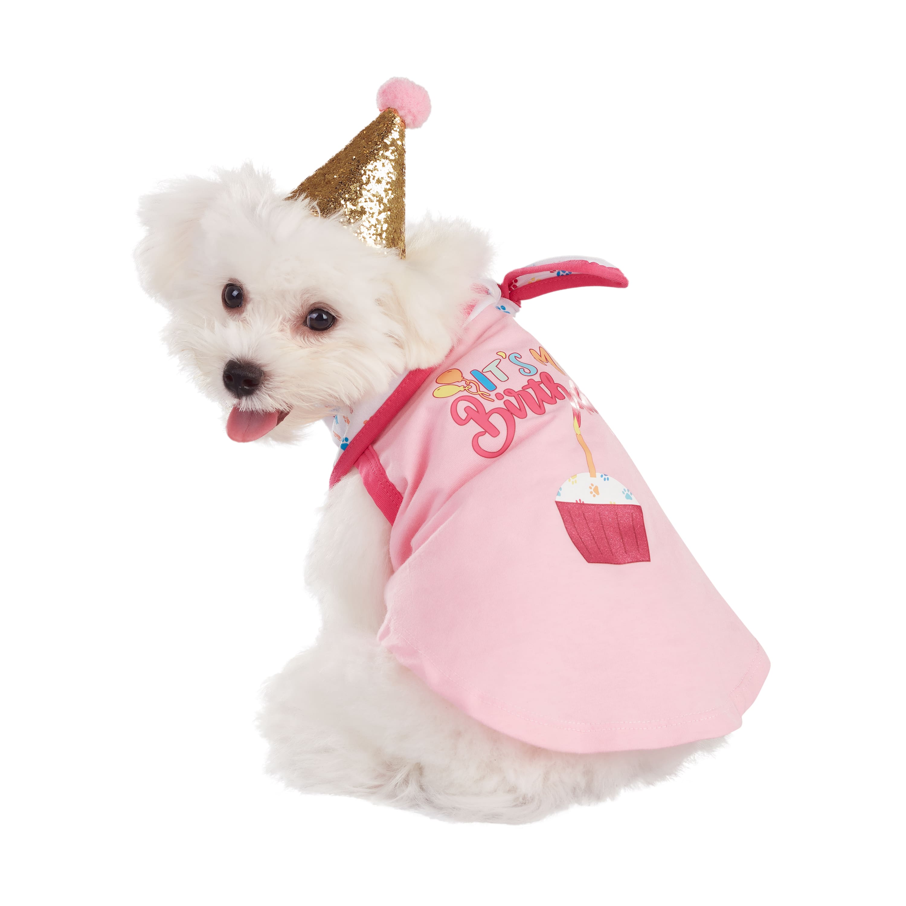 Best Furry Friends Birthday Girl Party Set
