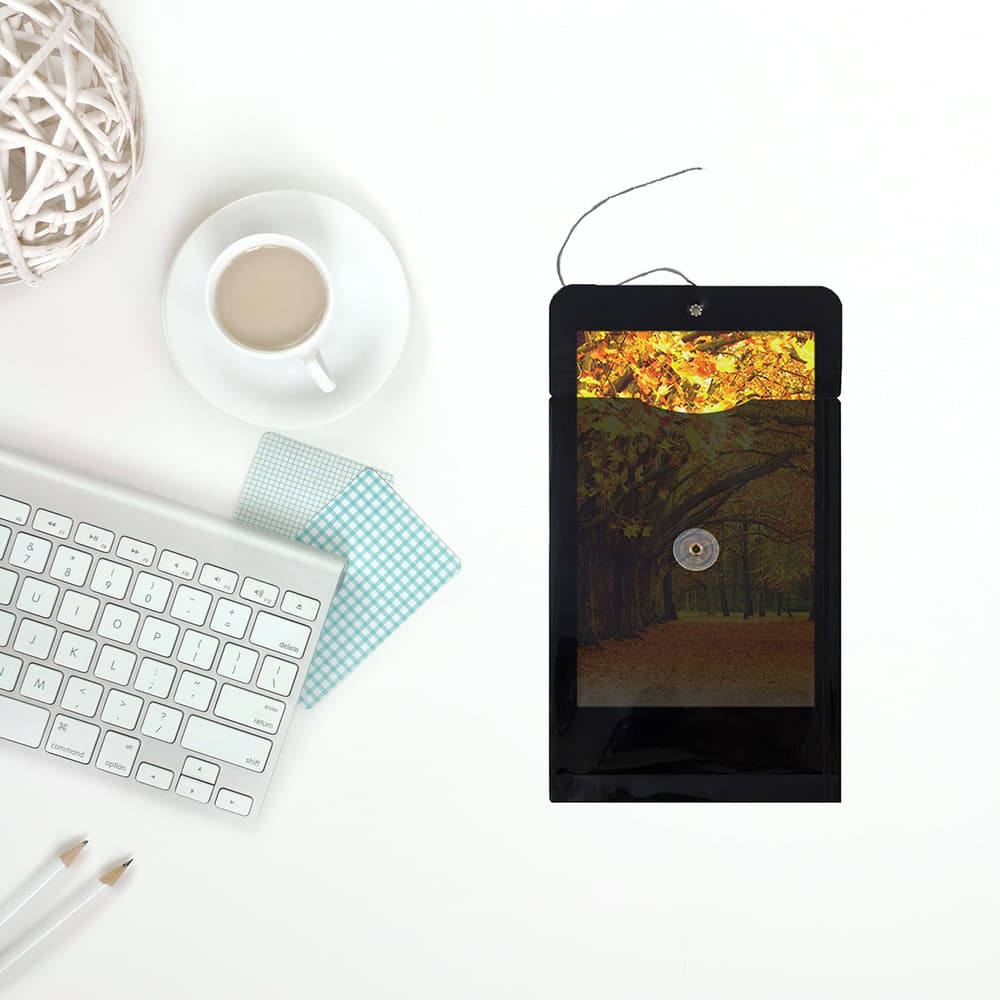 JAM Paper 6.25" x 9.25" Button & String Tie Closure Plastic Envelopes