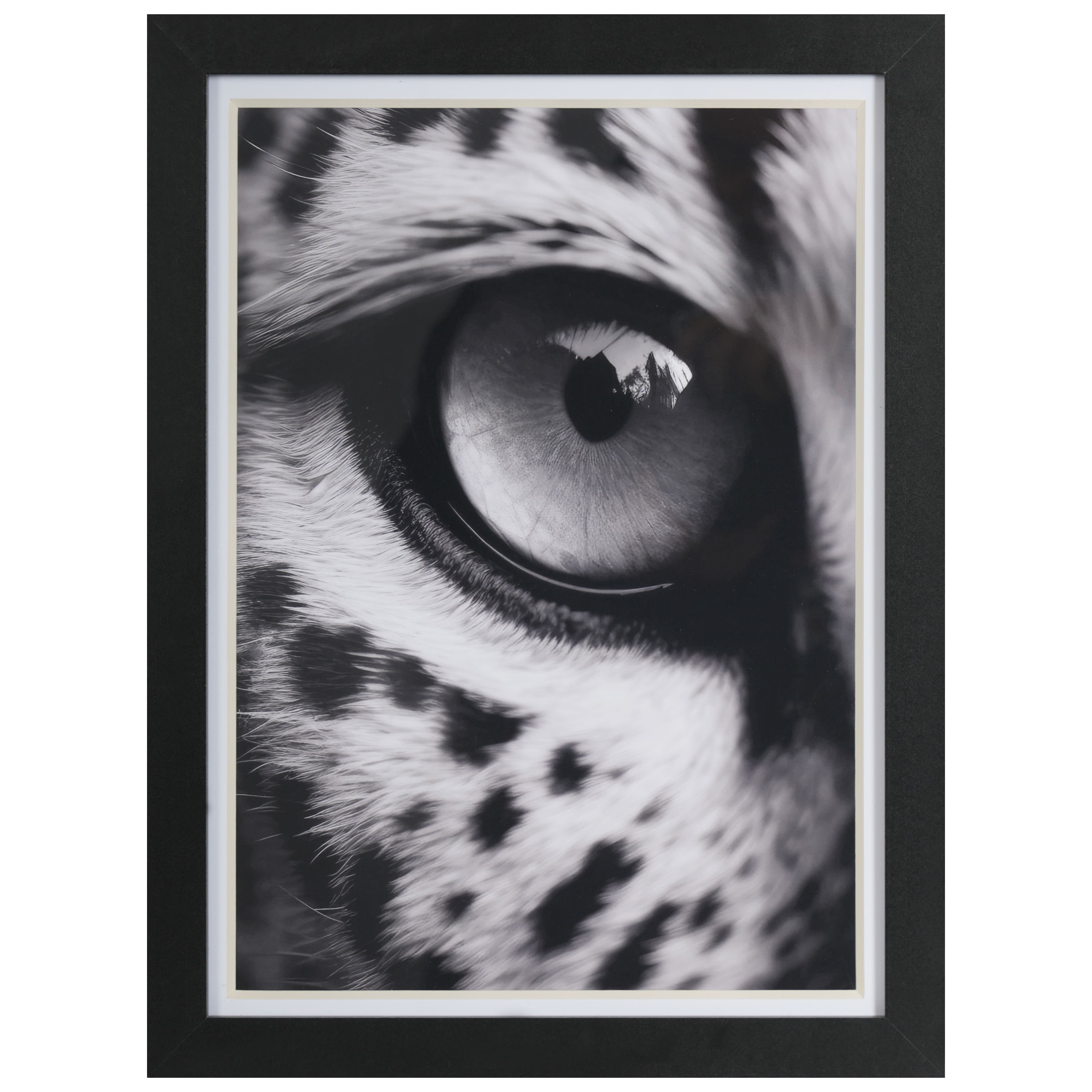 12&#x22; x 16&#x22; Leopard Eye Photo Wall D&#xE9;cor by Ashland&#xAE;