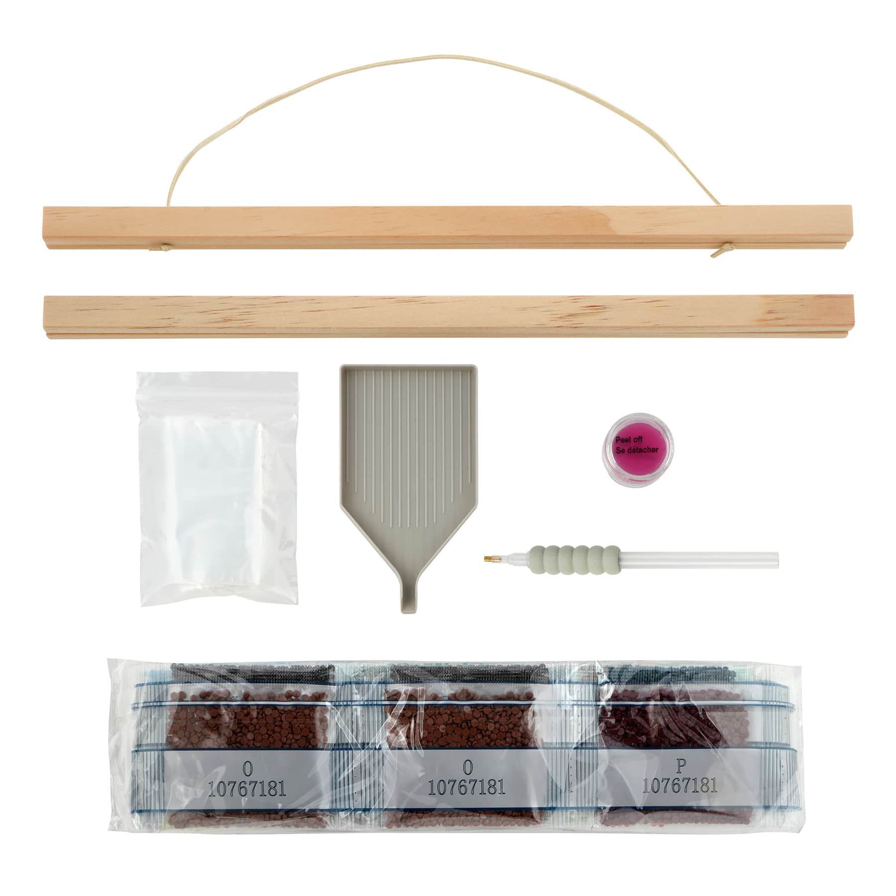 Chameleon Diamond Art Kit with Frame by Make Market&#xAE;