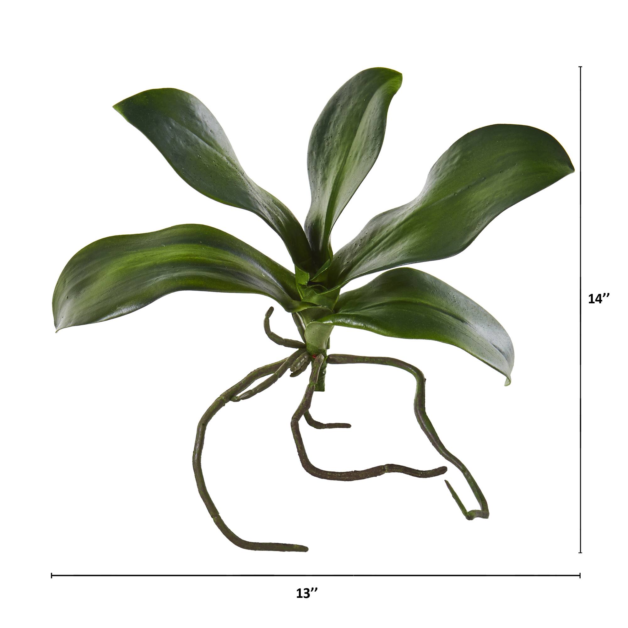 7&#x22; Phalaenopsis Orchid Leaf Artificial Flower (Set of 6)