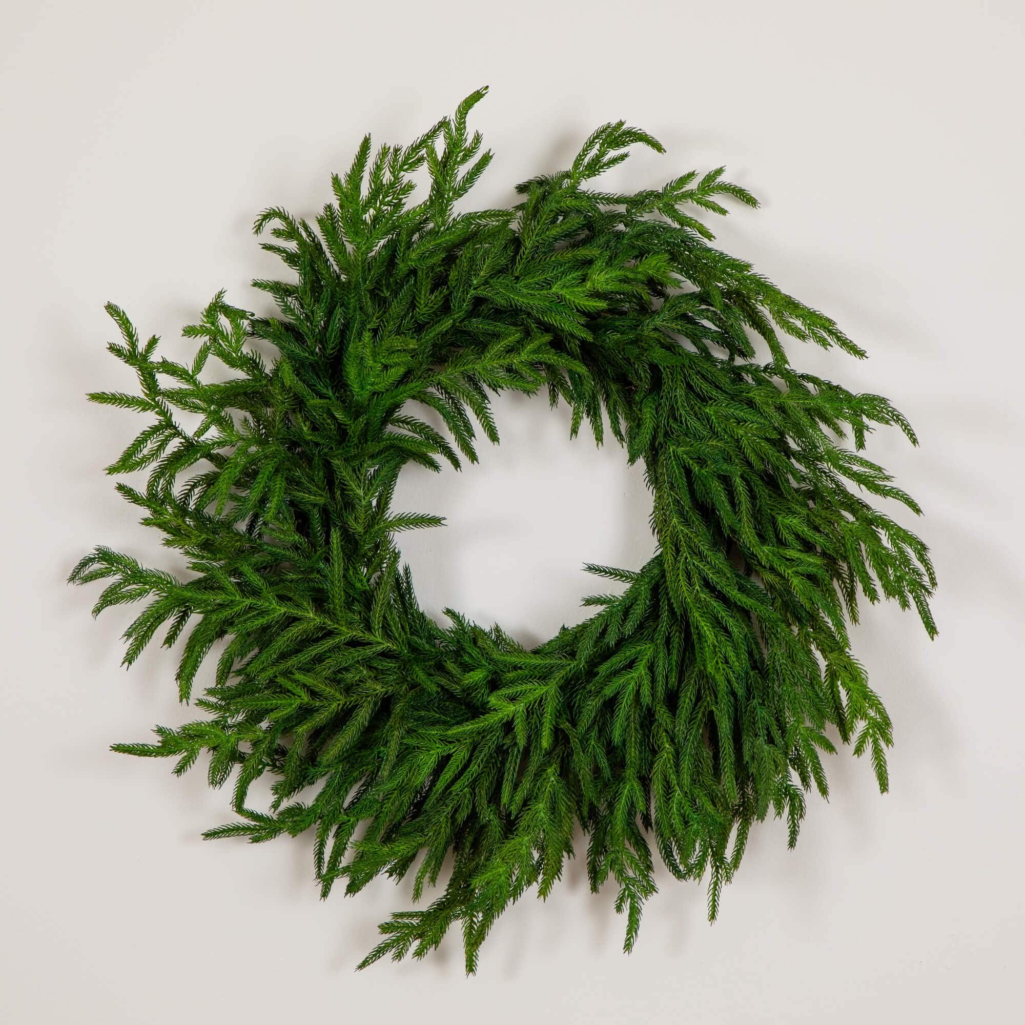 24in. Artificial Real Touch Norfolk Island Pine Wreath with Natural Look