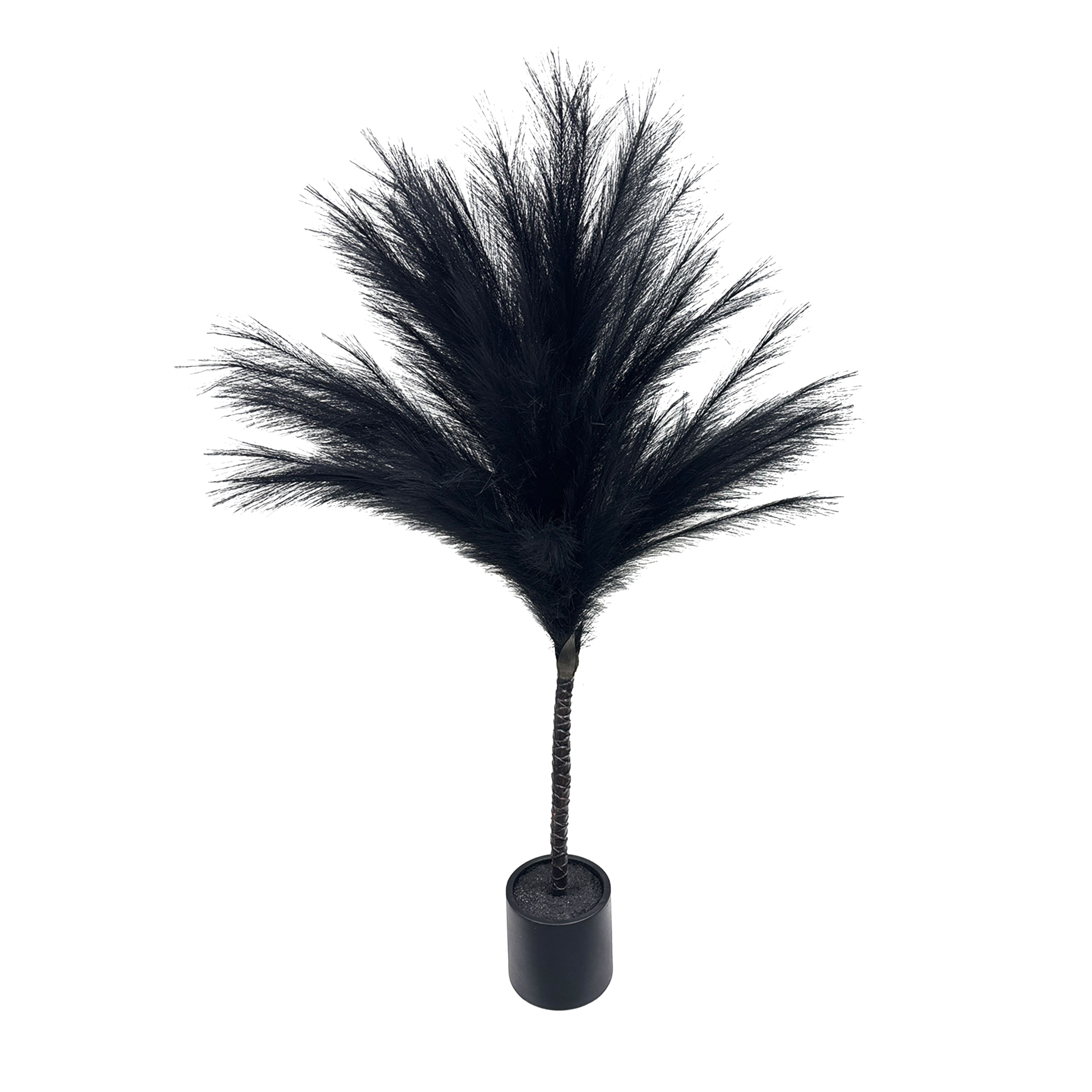 4ft. Black Pampas Tree by Ashland®