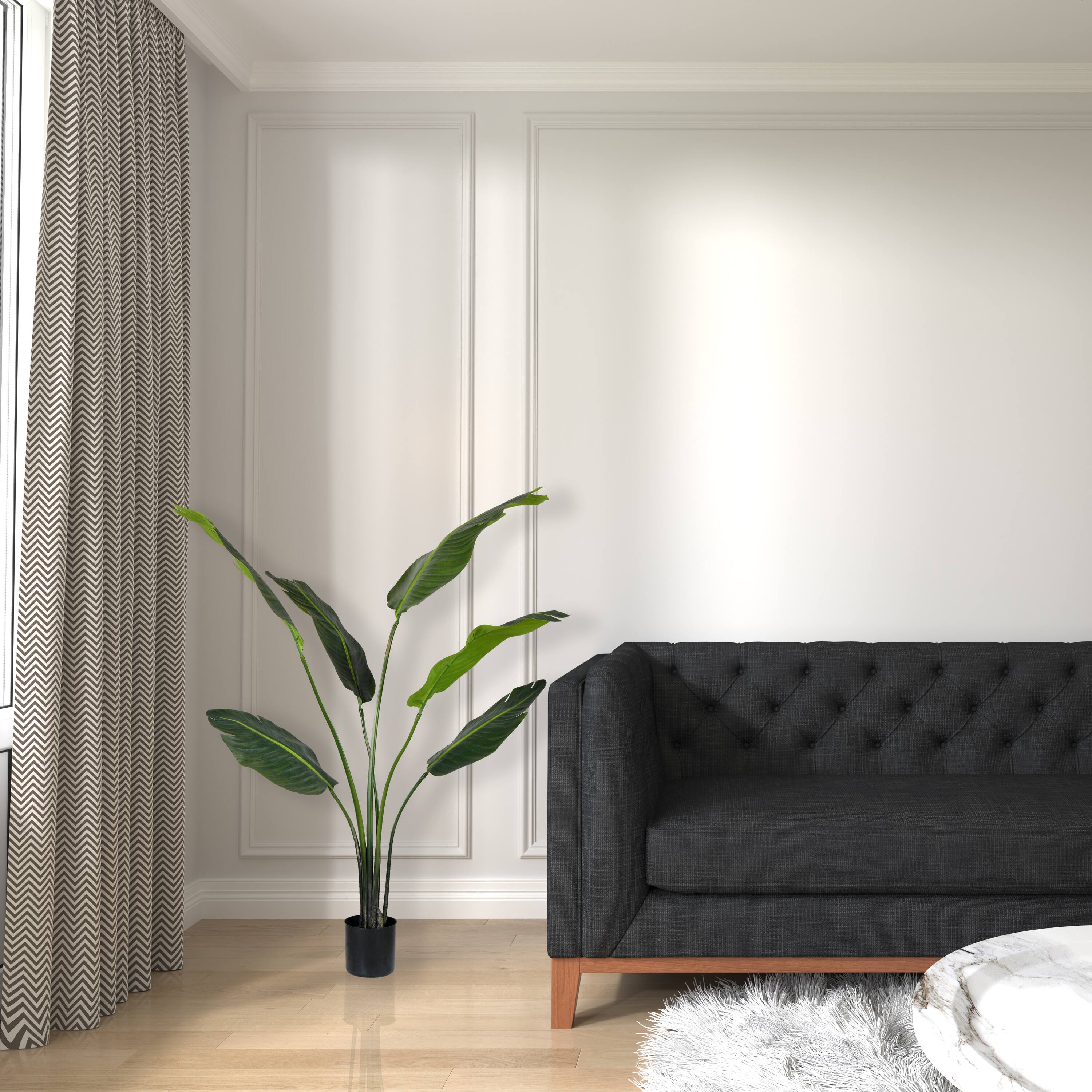 4ft. Potted Travellers Palm Tree