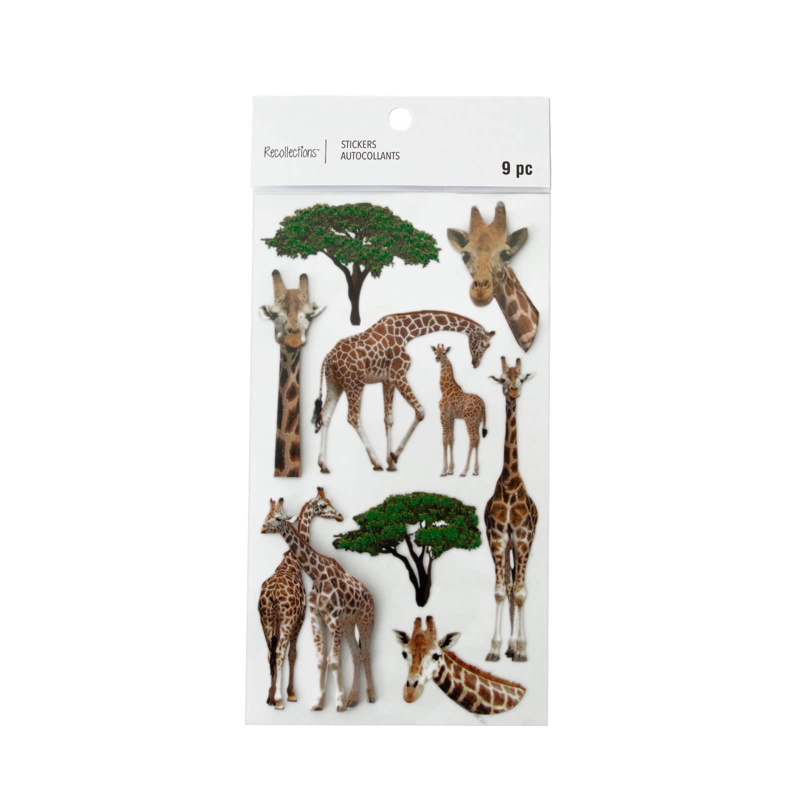 Giraffe Stickers by Recollections&#x2122;