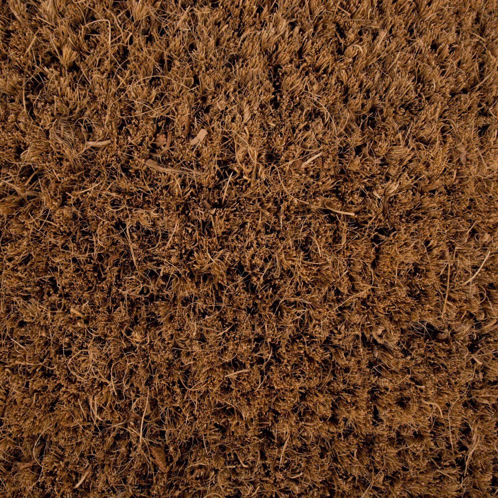 DII® Home Heart Doormat