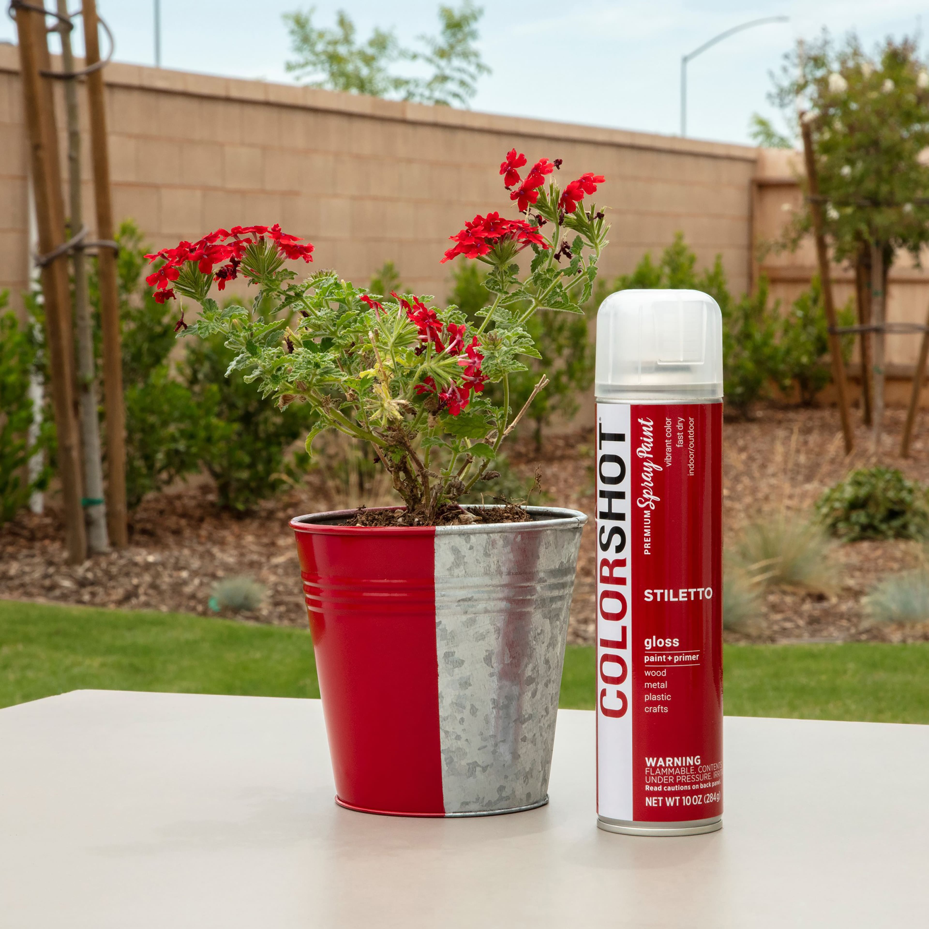 COLORSHOT&#xAE; Premium Gloss Spray Paint