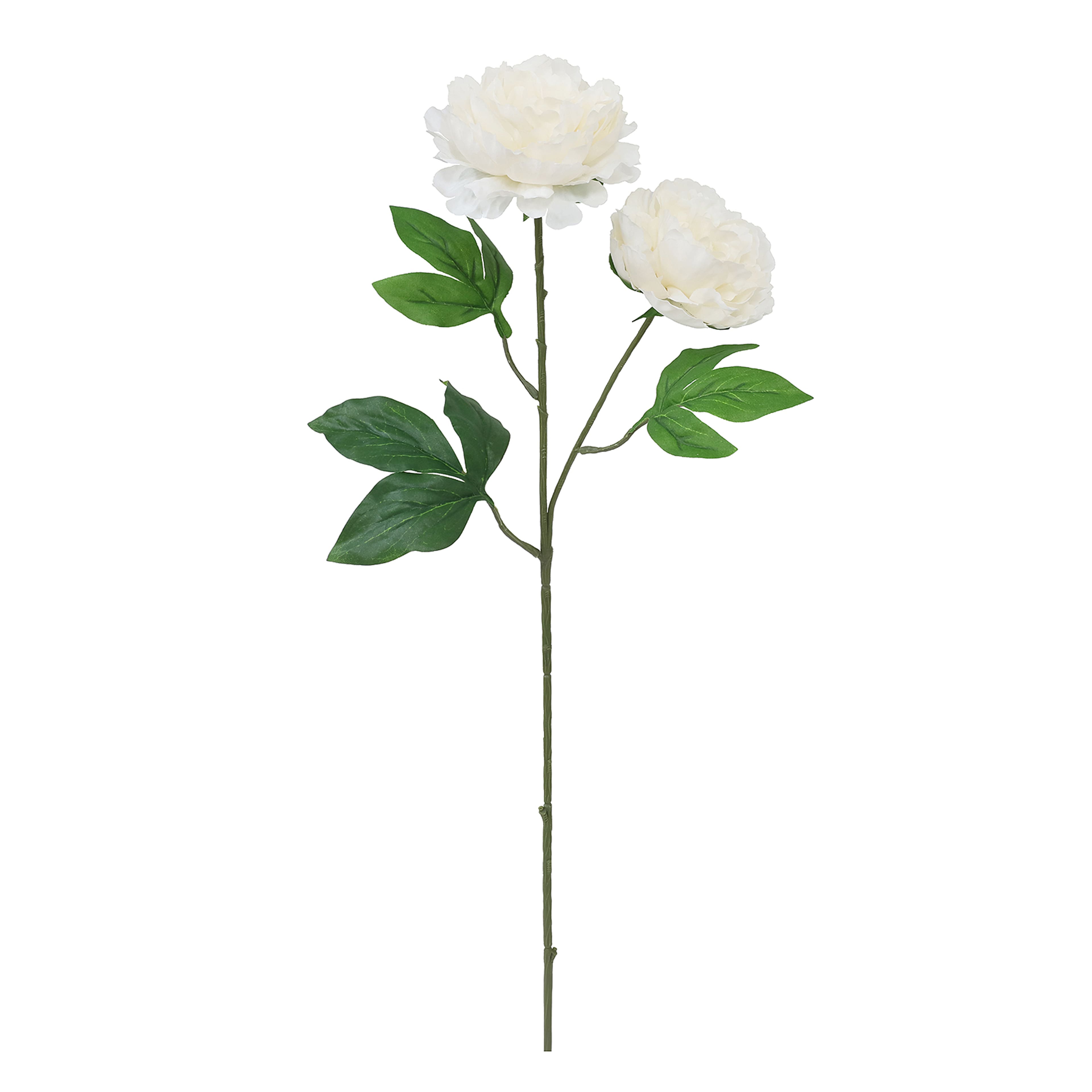 28&#x22; Peony Stem by Ashland&#xAE;