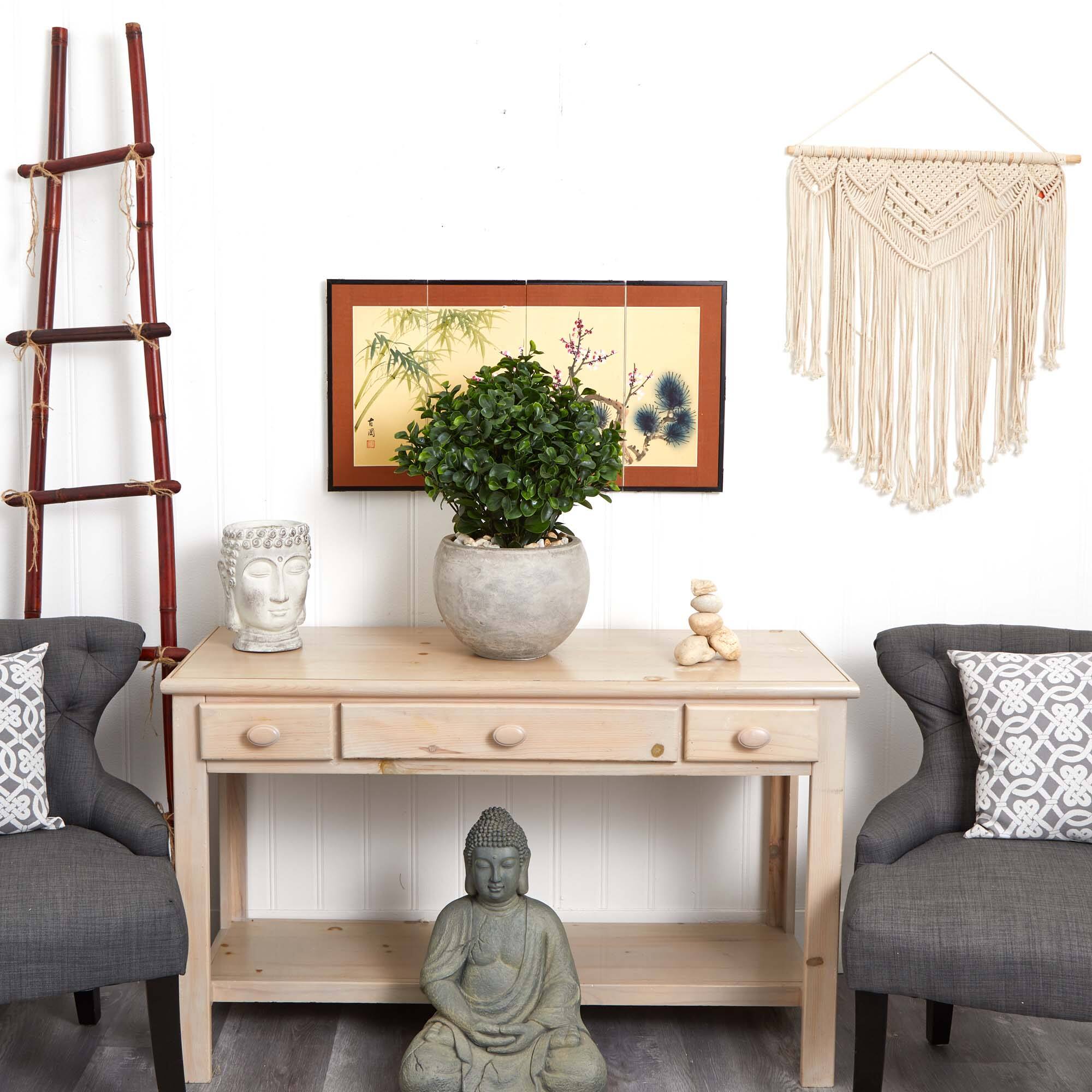 2ft. Eucalyptus Plant in Sand Colored Bowl