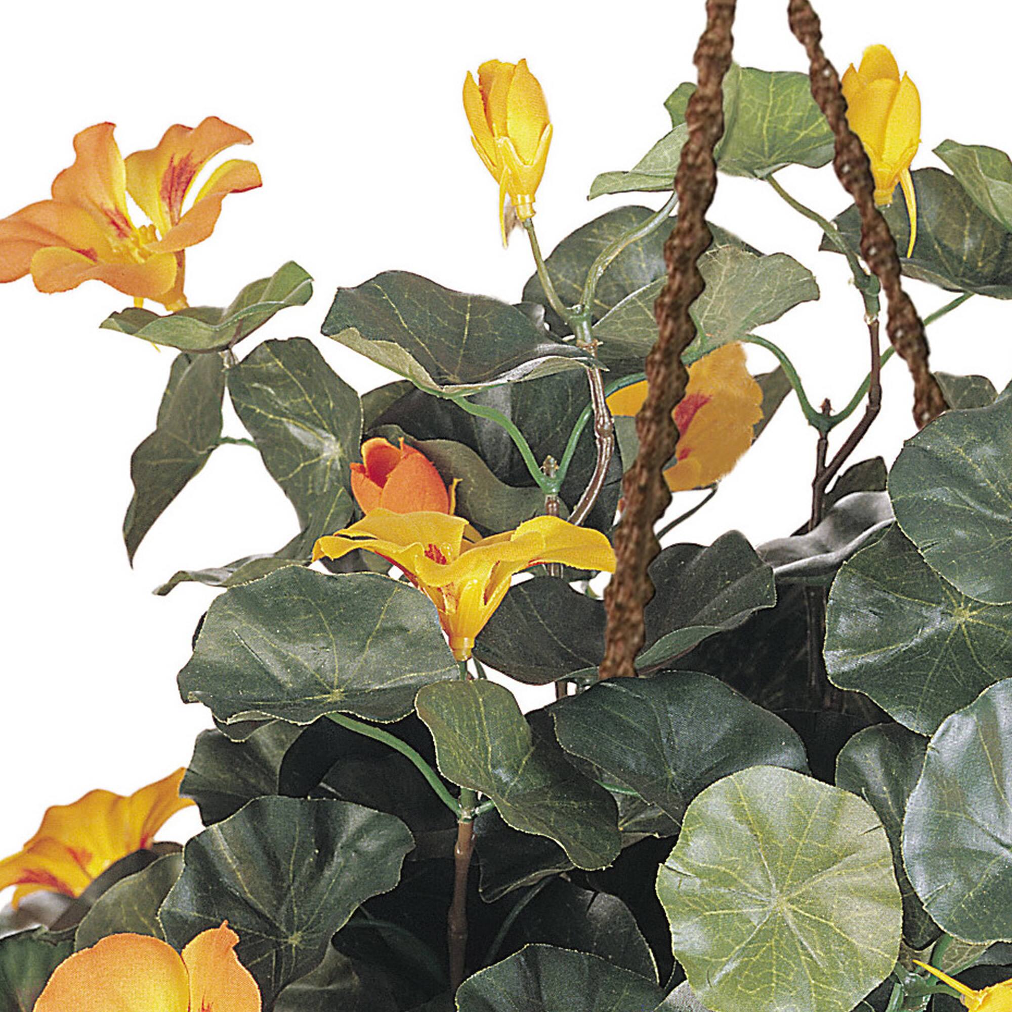 22" Golden Nasturtium Hanging Basket Michaels