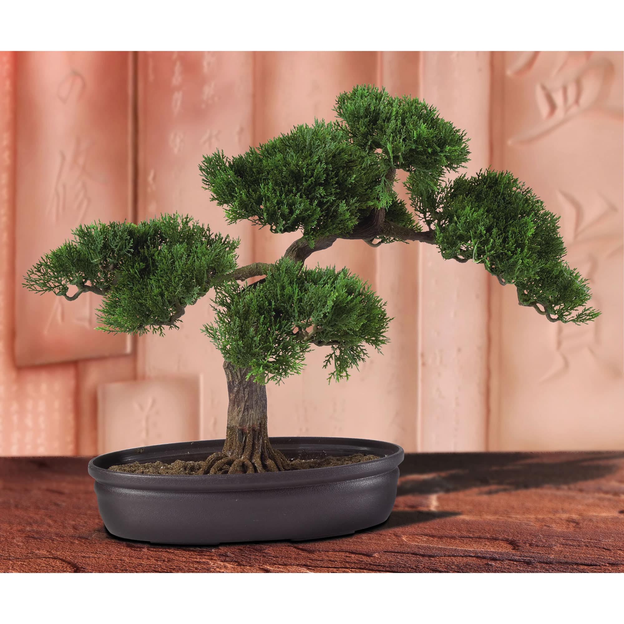 16" Potted Cedar Bonsai Plant