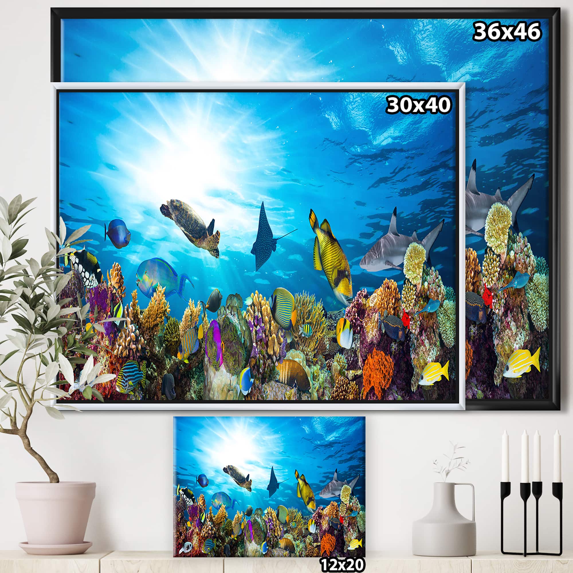 Designart - Colorful Coral Reef with Fishes - Seascape Framed Canvas Art Print