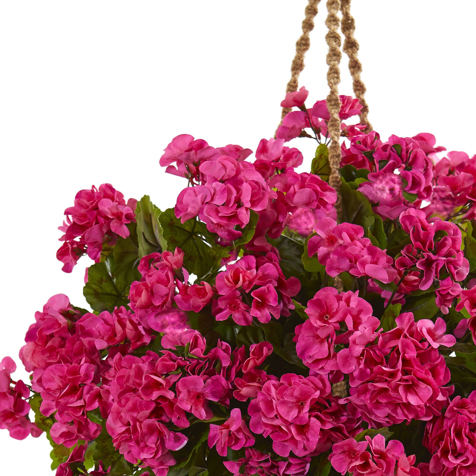 19'' Geranium Hanging Basket