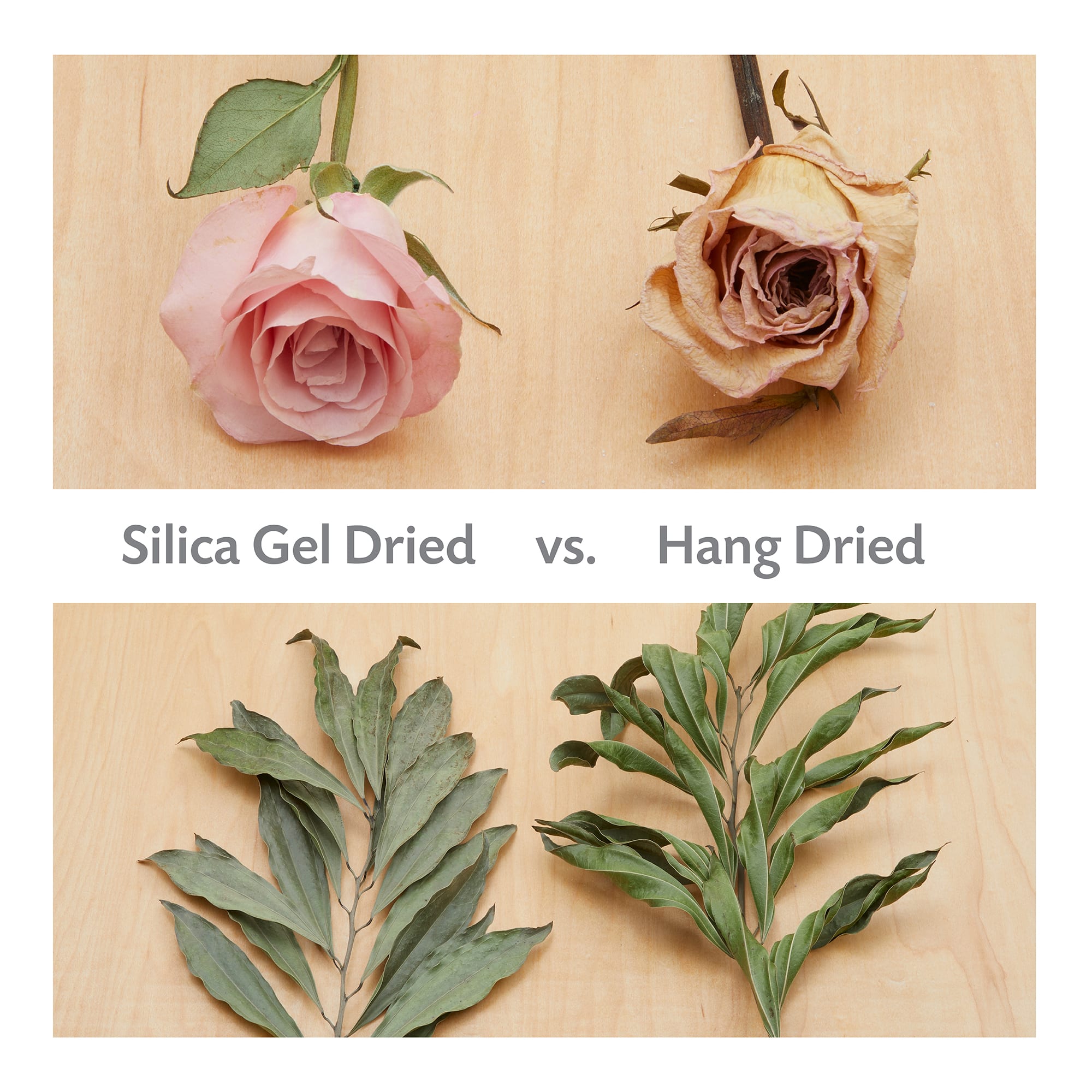 Using silica gel to dry flowers