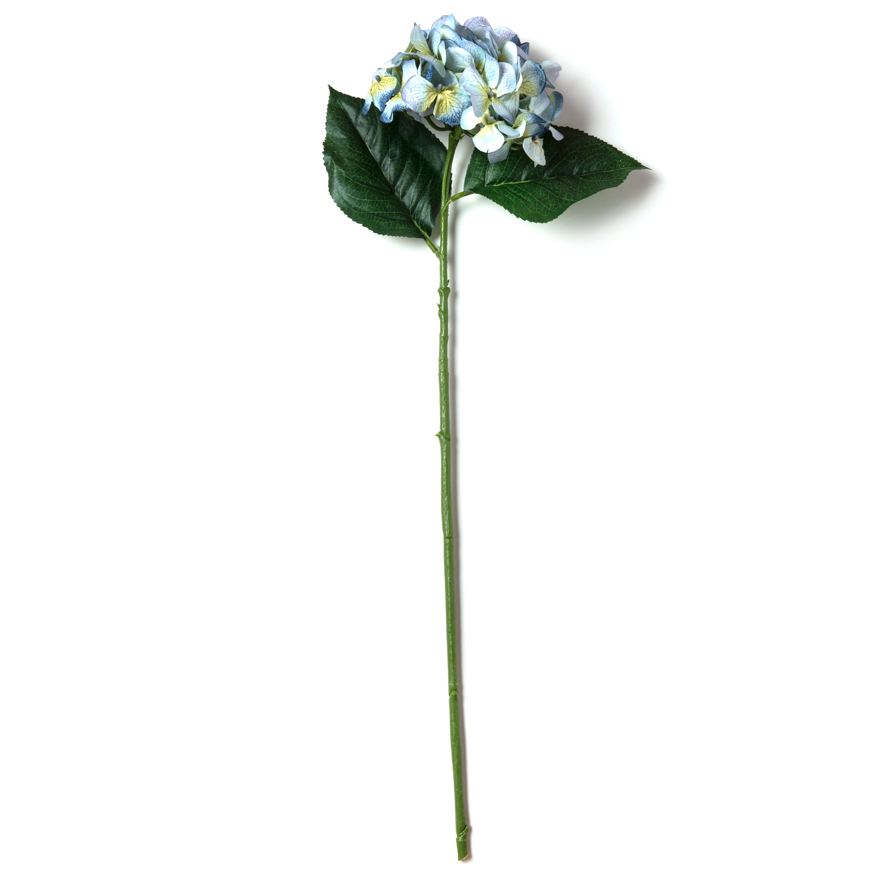 12 Pack: Blue & Green Hydrangea Stem by Ashland®