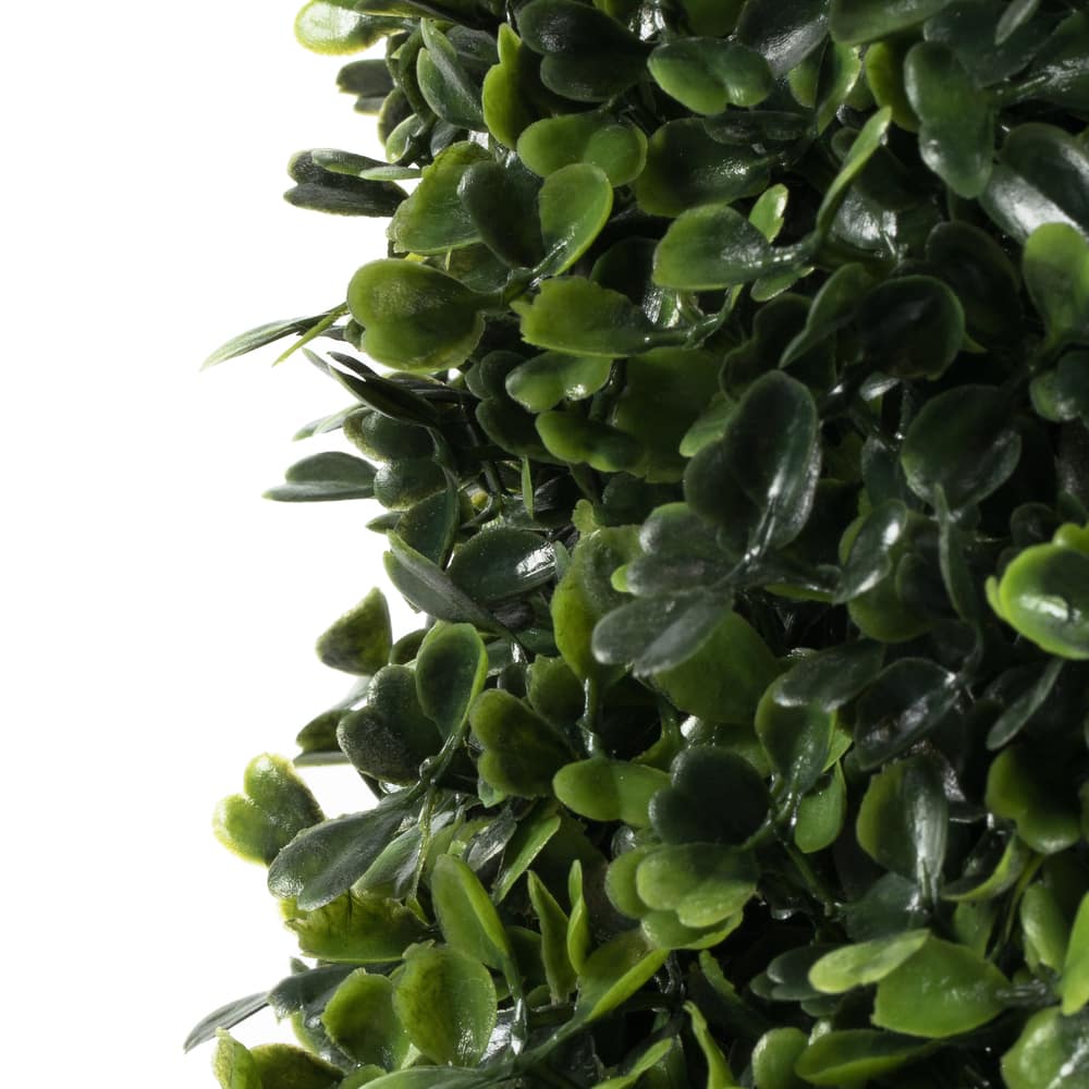 4ft. Potted Boxwood Cone