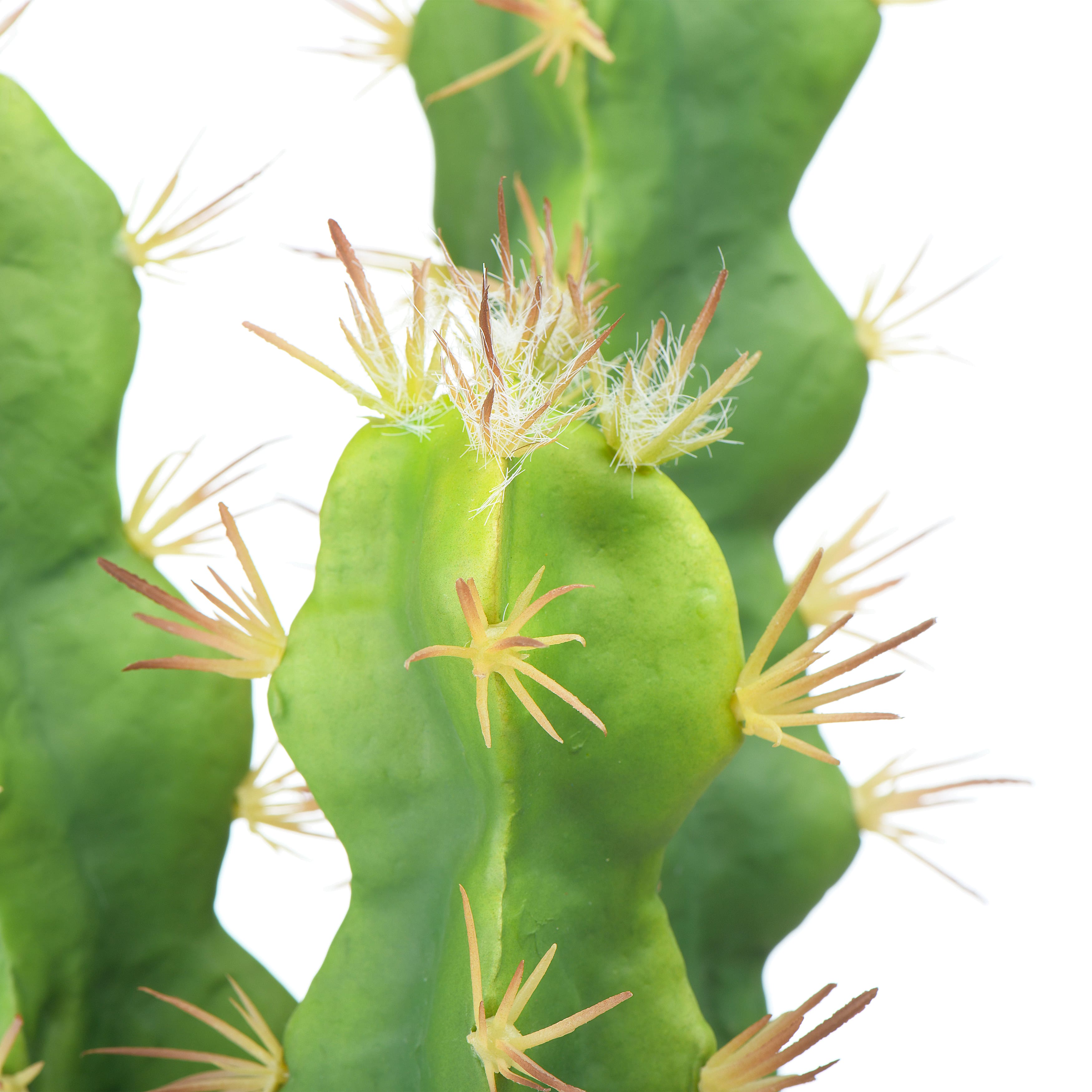 18&#x22; Cereus Cactus in Terra Cotta Colored Pot