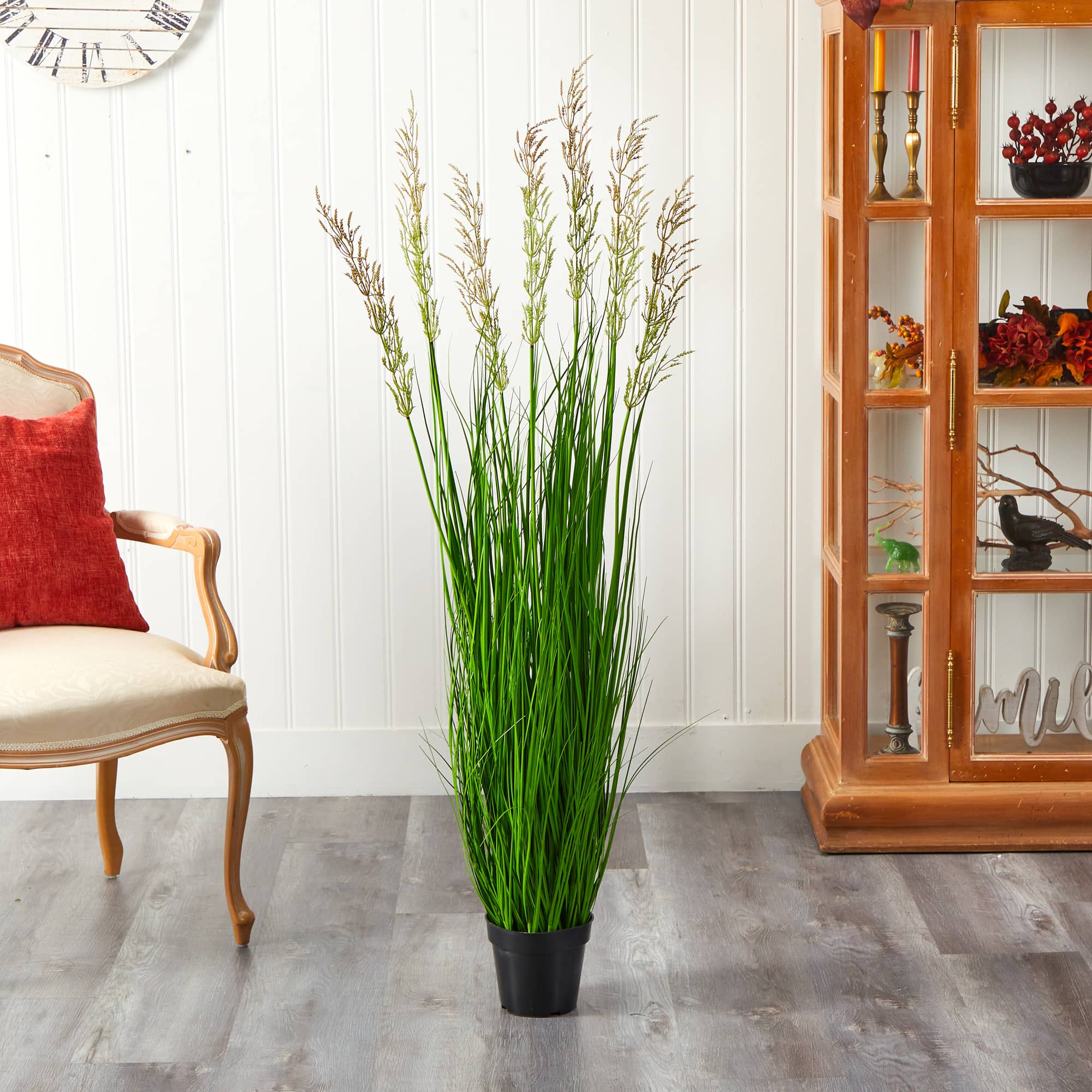 4.5ft. Potted Plume Grass