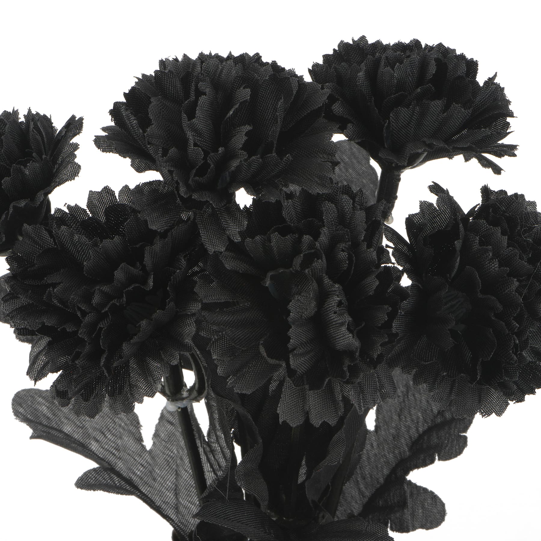 Halloween Mum Bush by Ashland&#xAE;