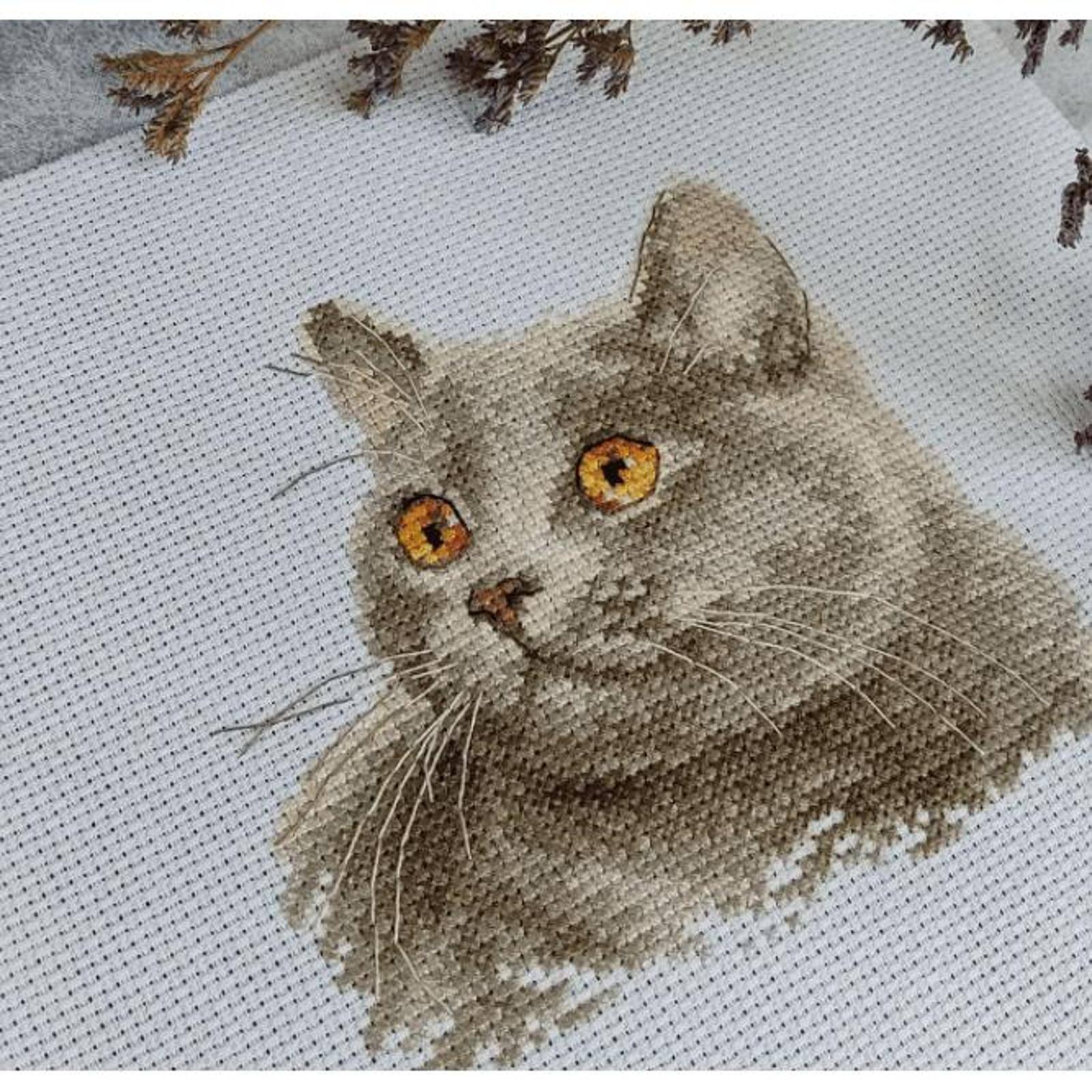 Alisa British Cat Cross Stitch Kit