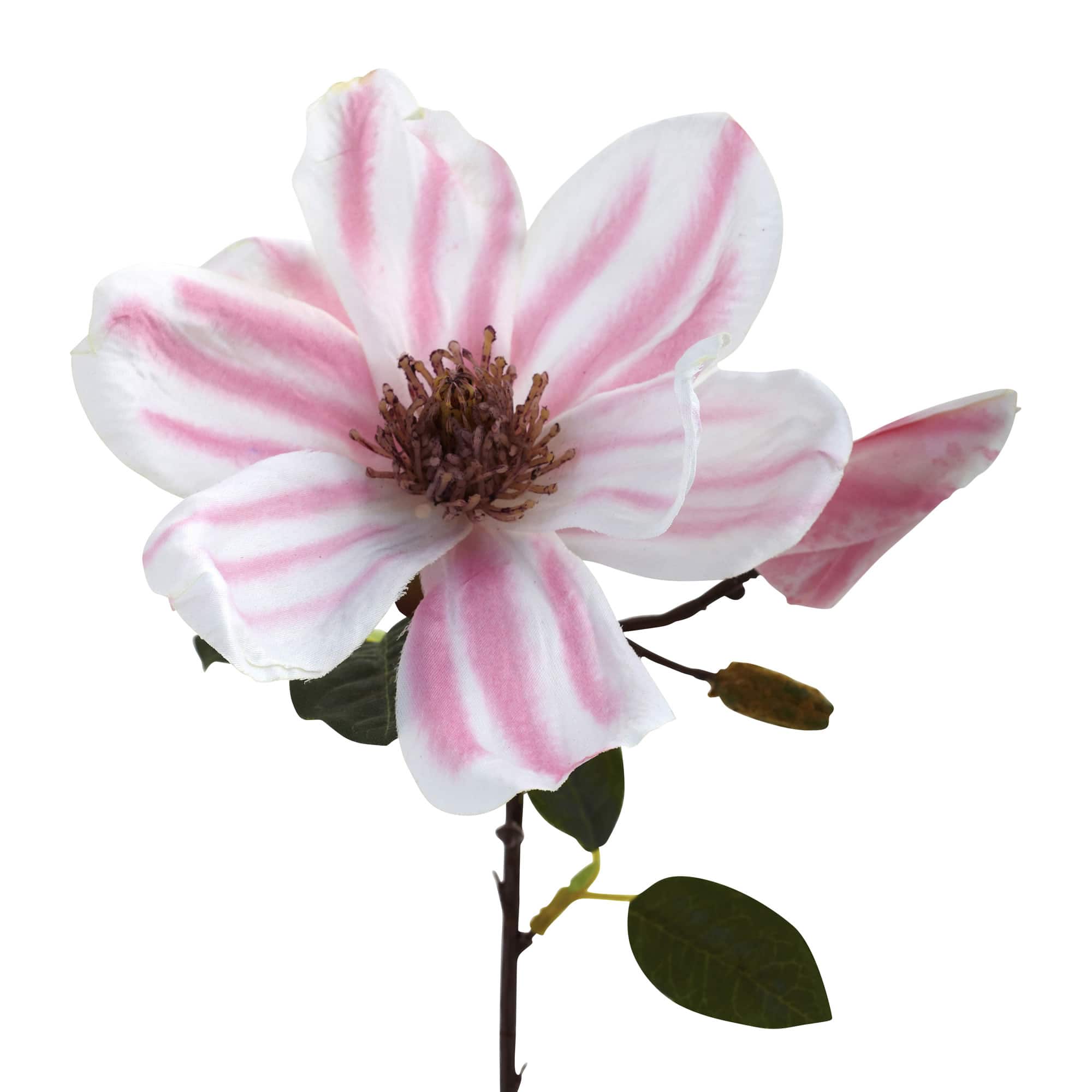 Pink Magnolia Stem, 18ct.