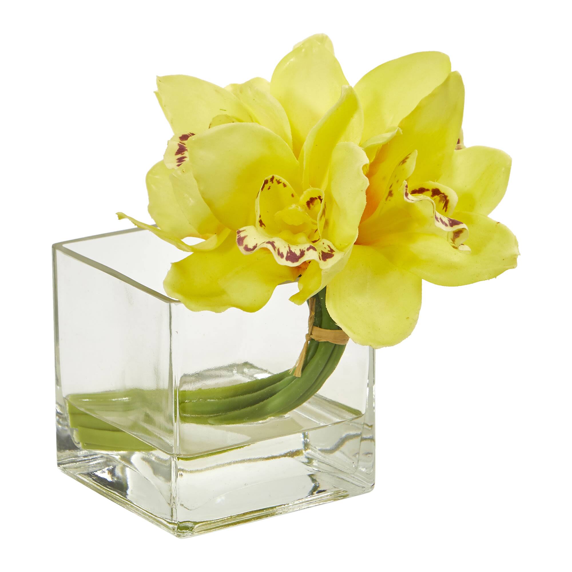8" Boat Orchid Arrangement in Glass Vase