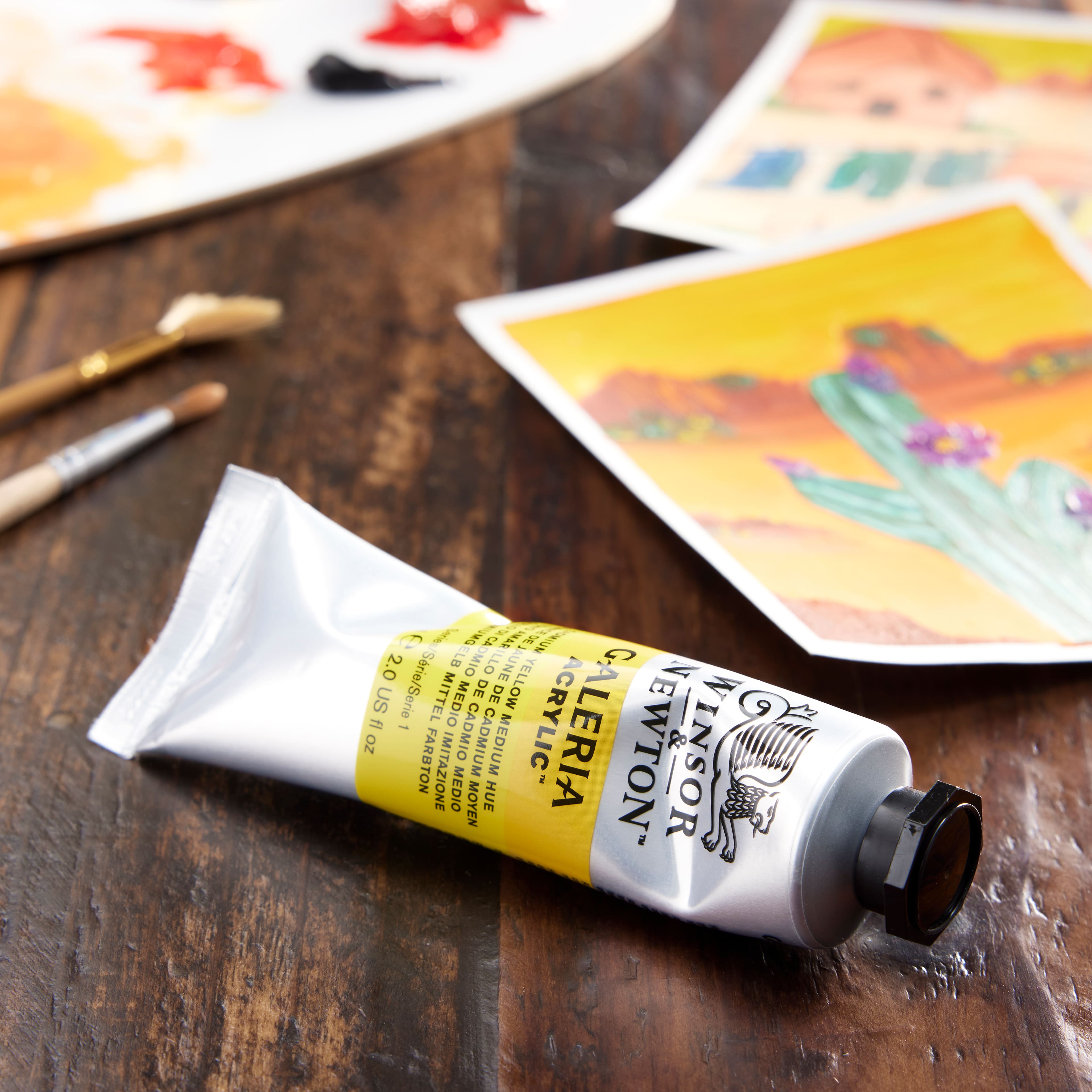 Winsor & Newton™ Galeria Acrylic™, 60mL