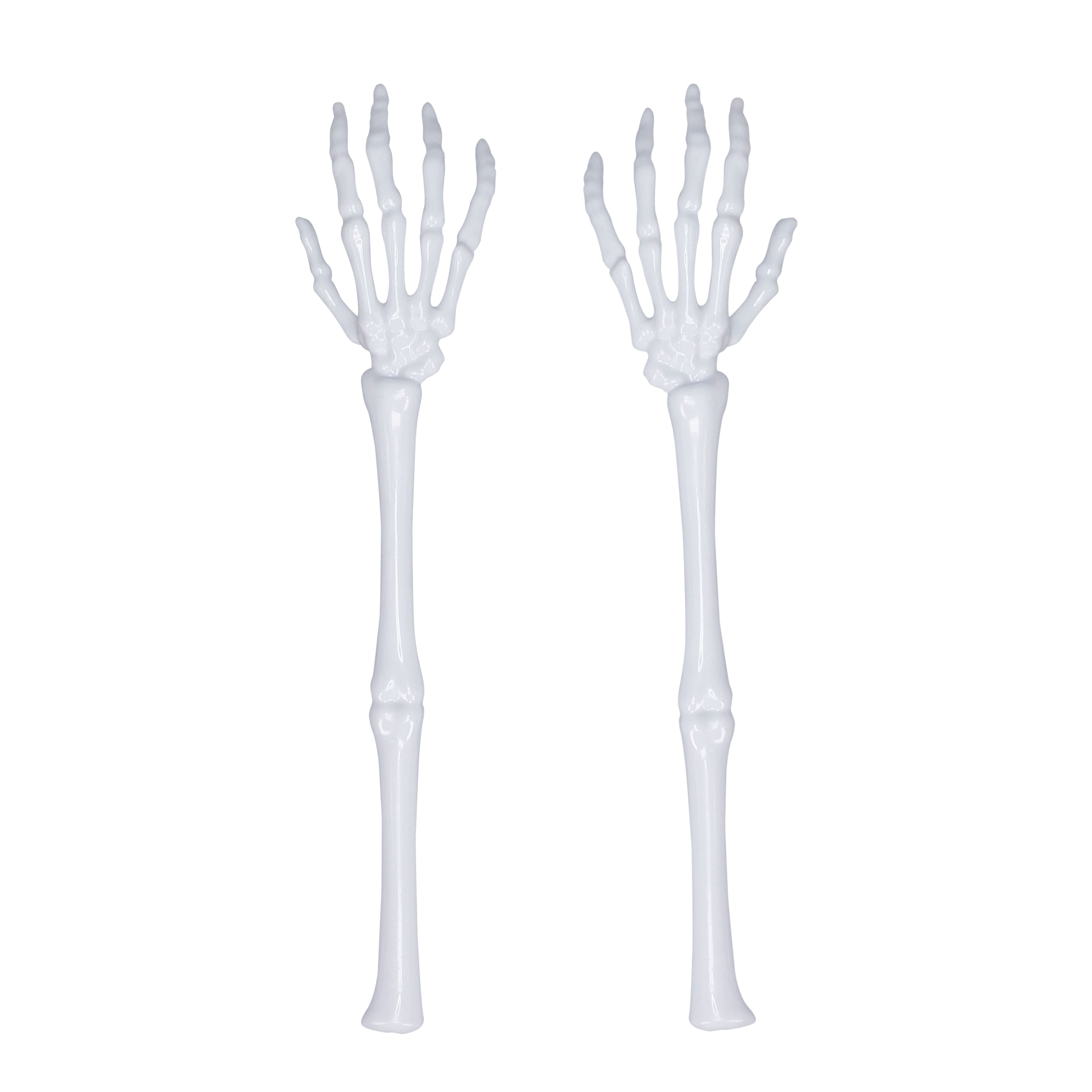 Skeleton Serving Set by Celebrate It&#x2122;