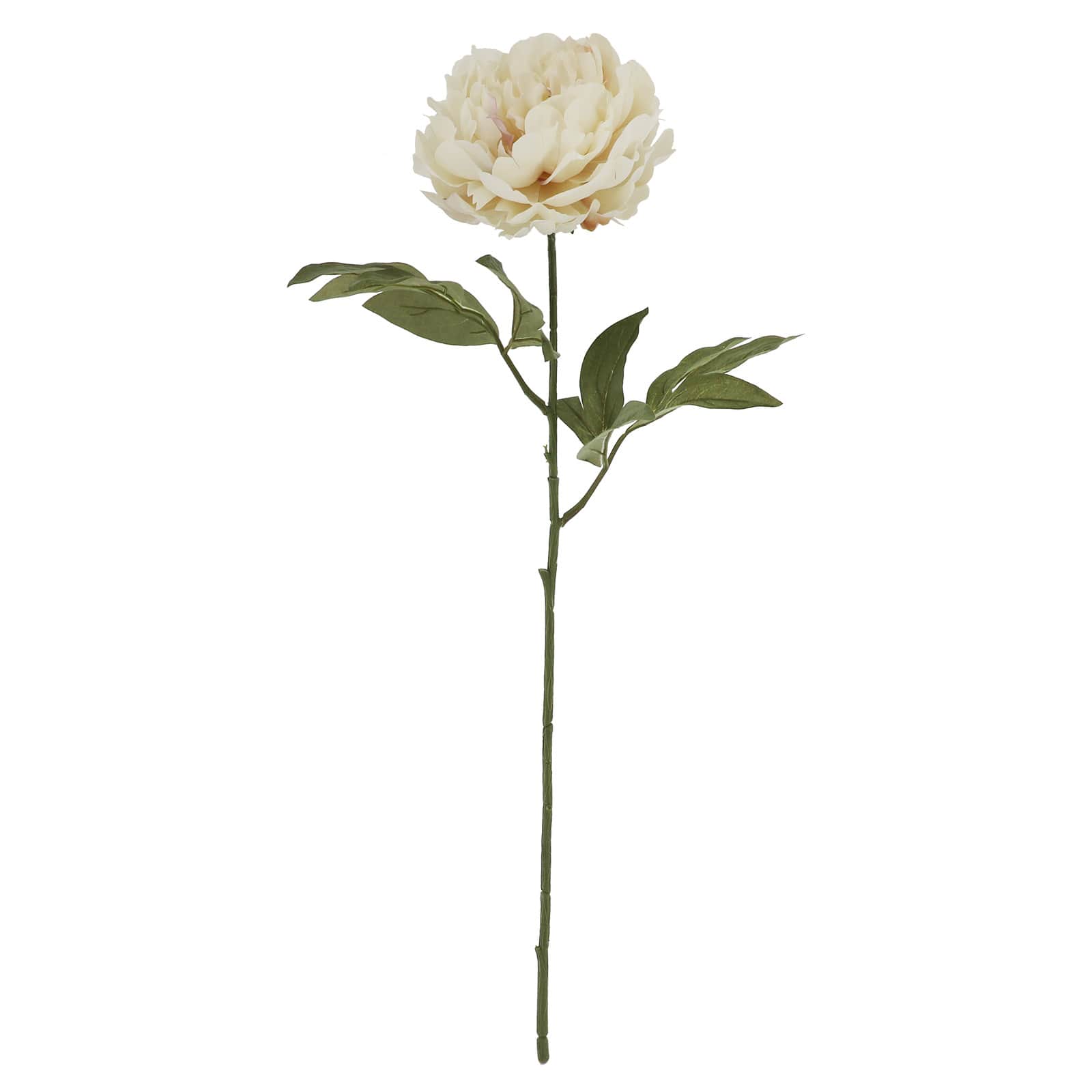 28&#x22; Cream Peony Stem by Ashland&#xAE;