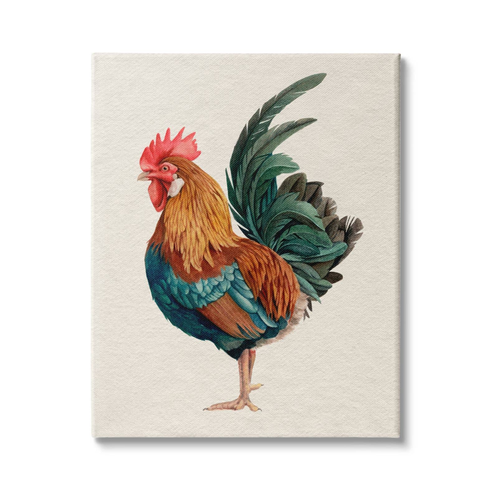 Stupell Industries Traditional Morning Rooster Illustration Elegant Bird Feathers Canvas Wall Art