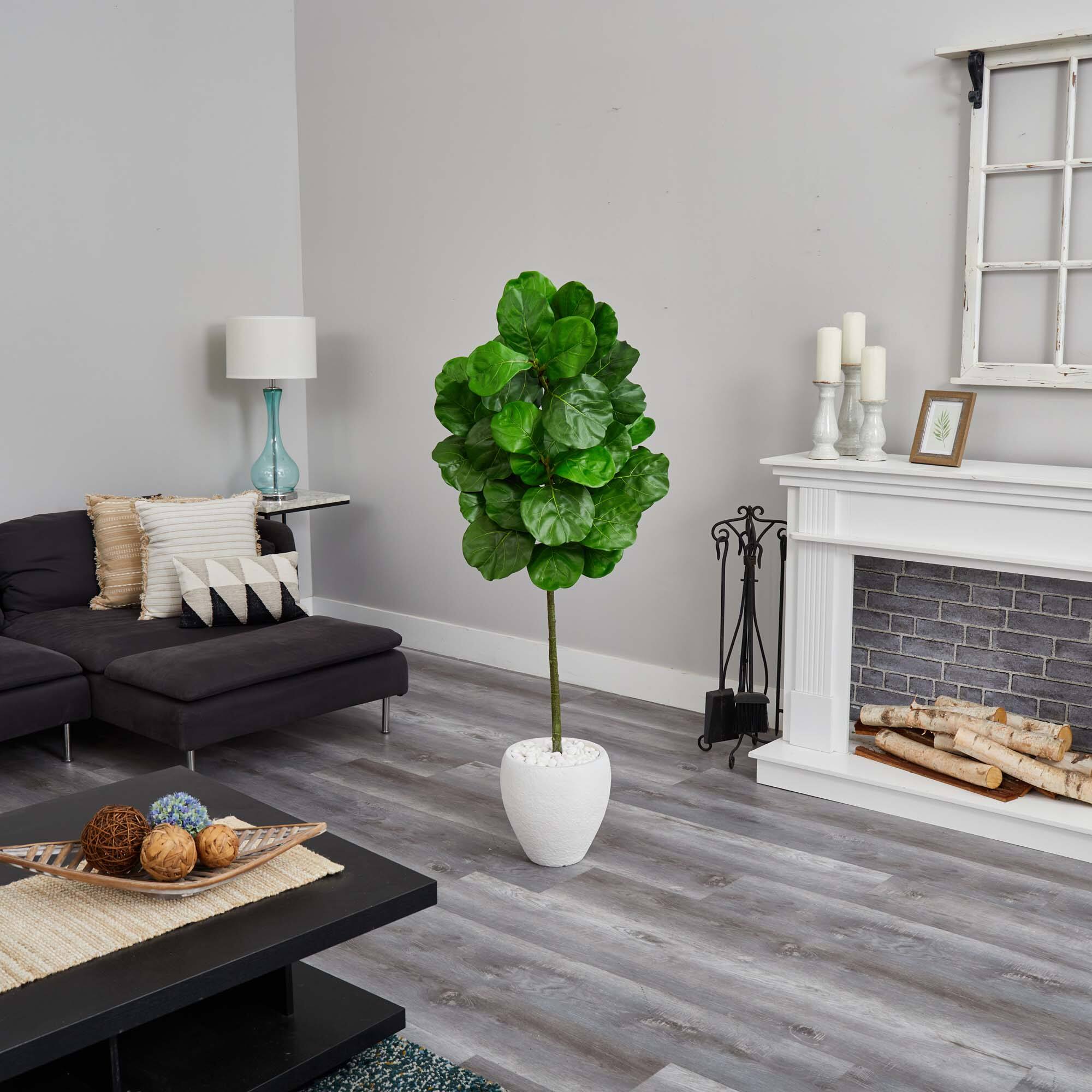 5ft. Fiddle Leaf Tree with White Planter