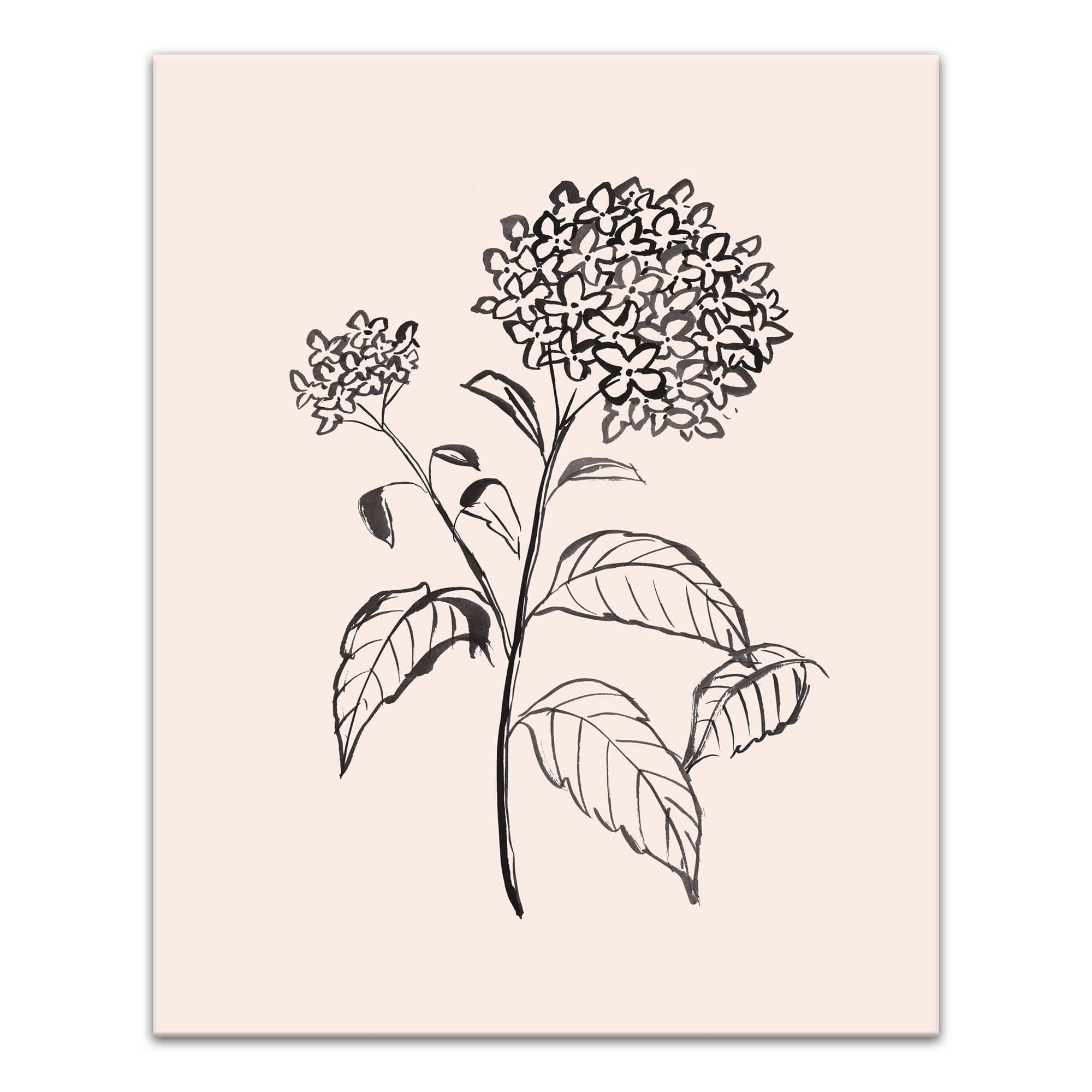 Hydrangeas On Blush 16" x 20" Canvas Wall Art