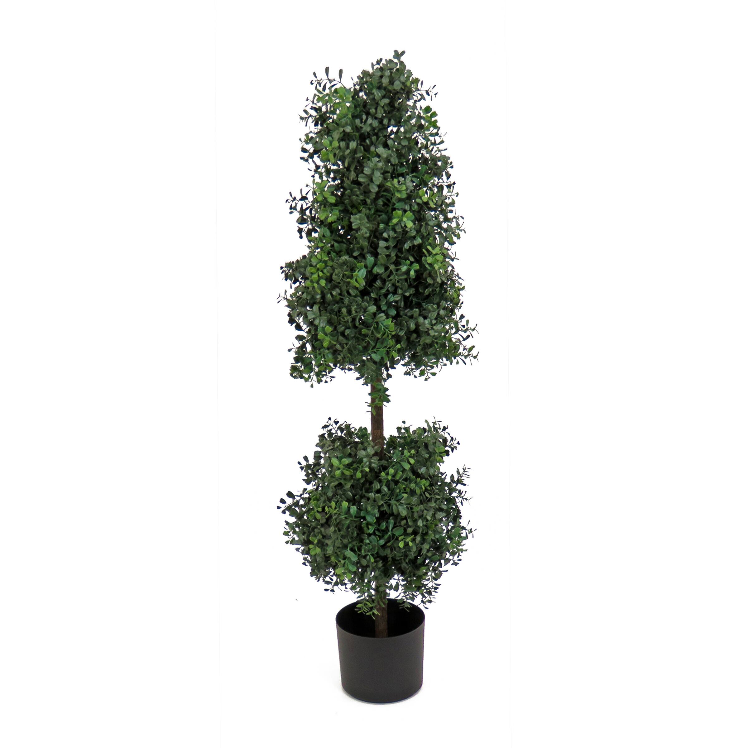 4ft. Boxwood Cone & Ball Topiary In Nursery Pot