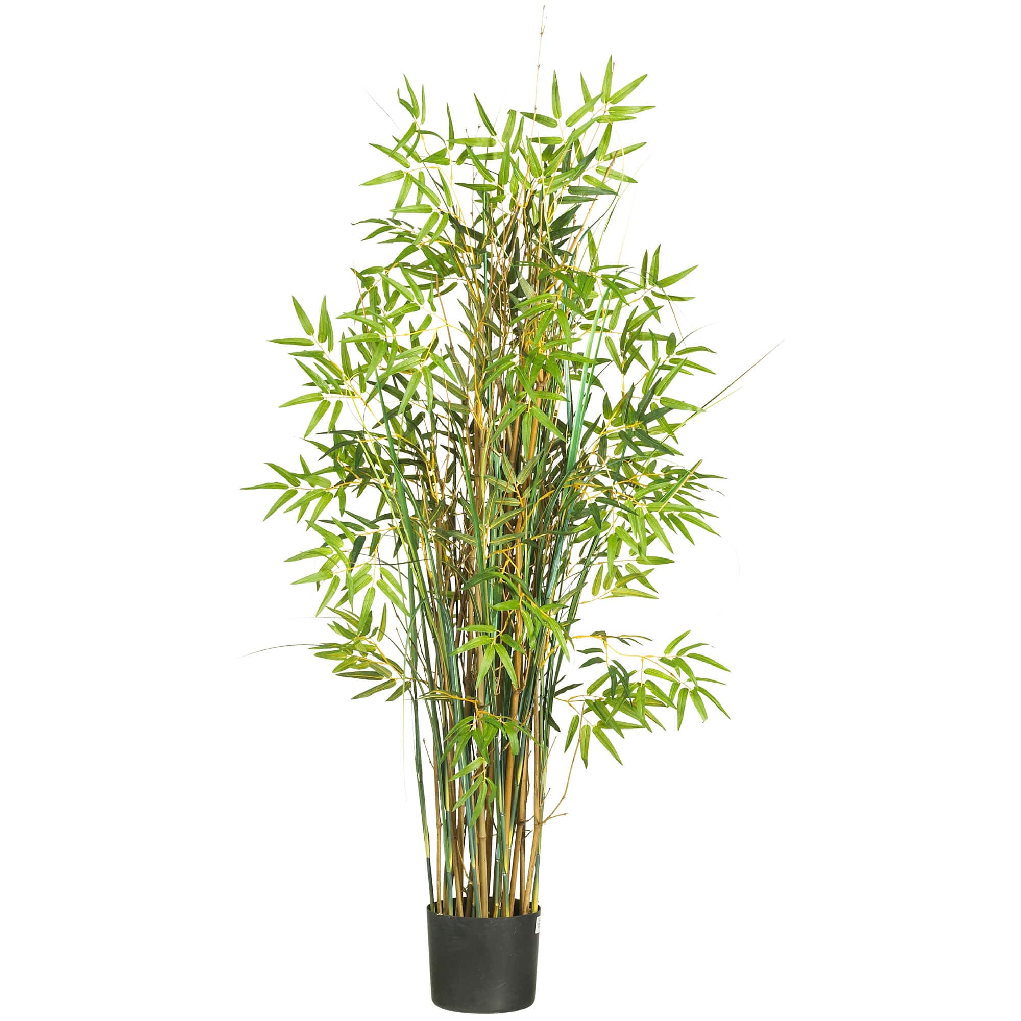 5ft. Potted Bamboo Grass Plant