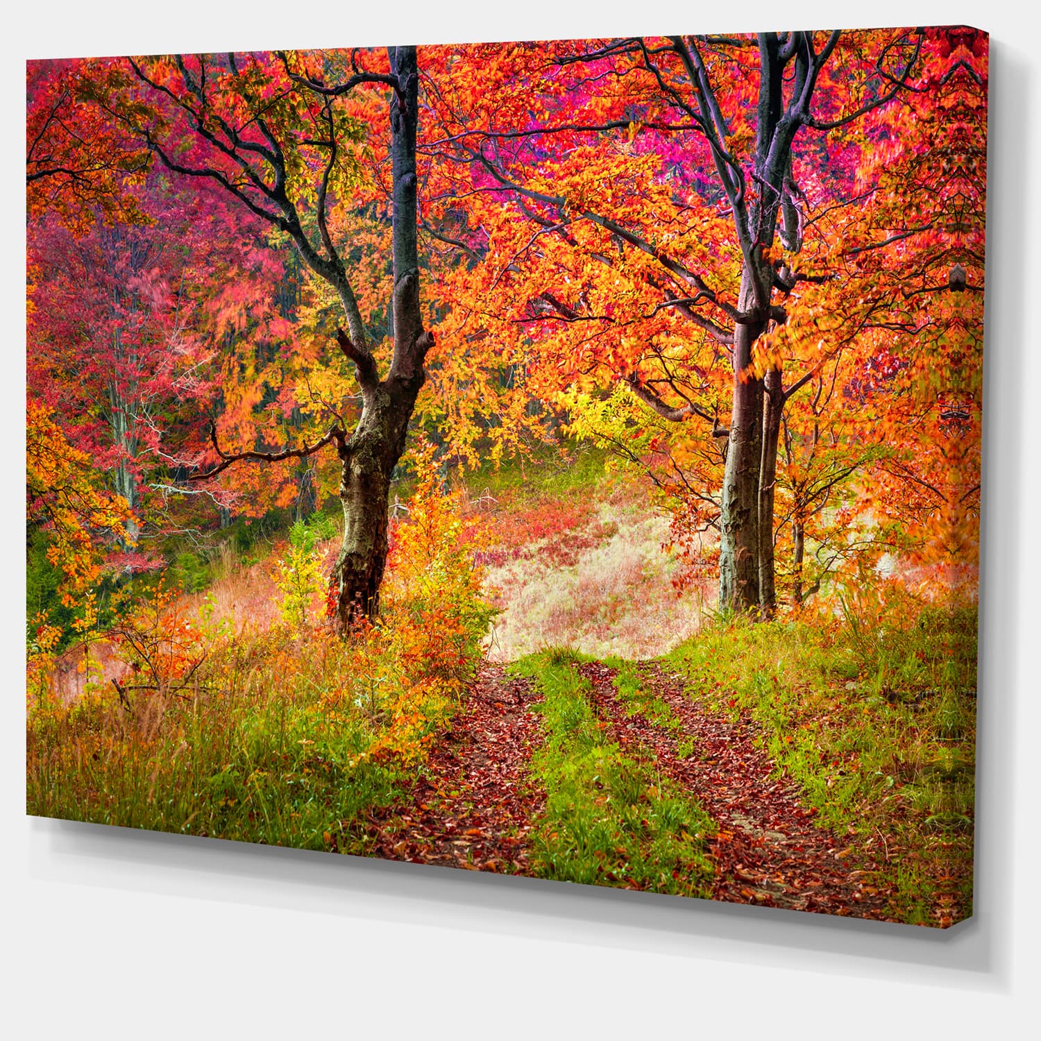 Designart - Bright Colorful Fall Trees in Forest - Large Landscape Canvas Art Print