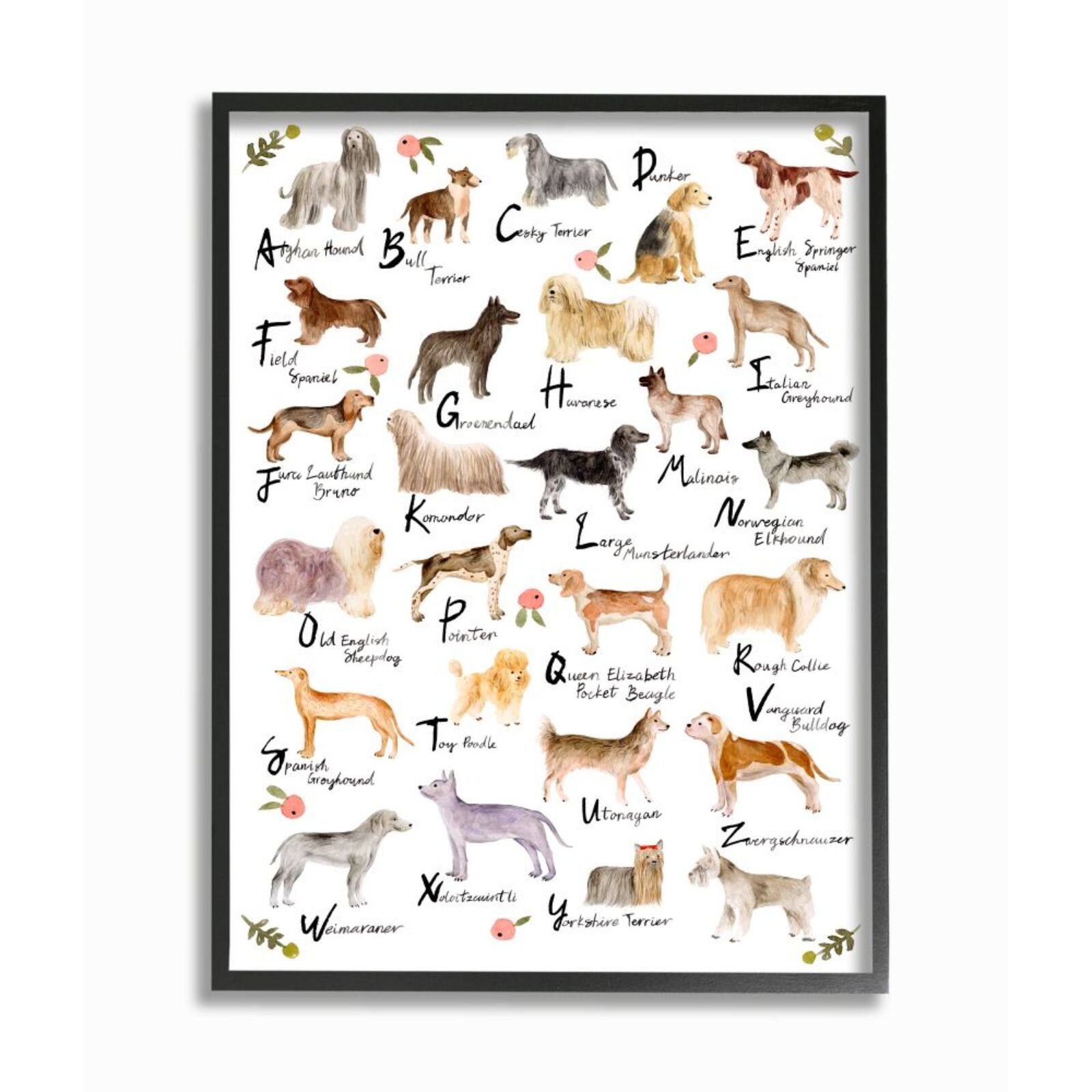 Stupell Industries Alphabet of Dogs with Florals Black Framed Wall Art