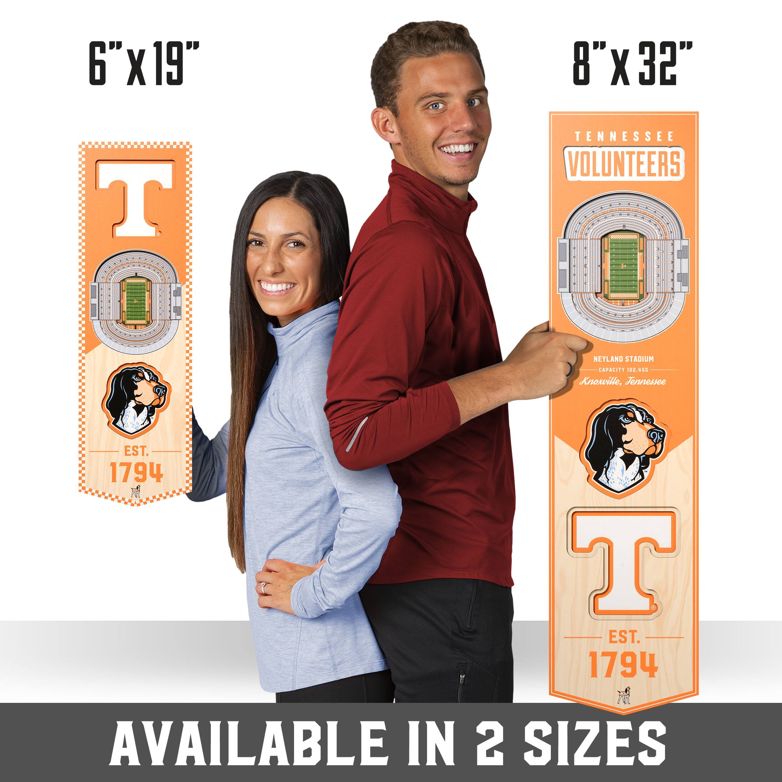 College 3D StadiumView Banner