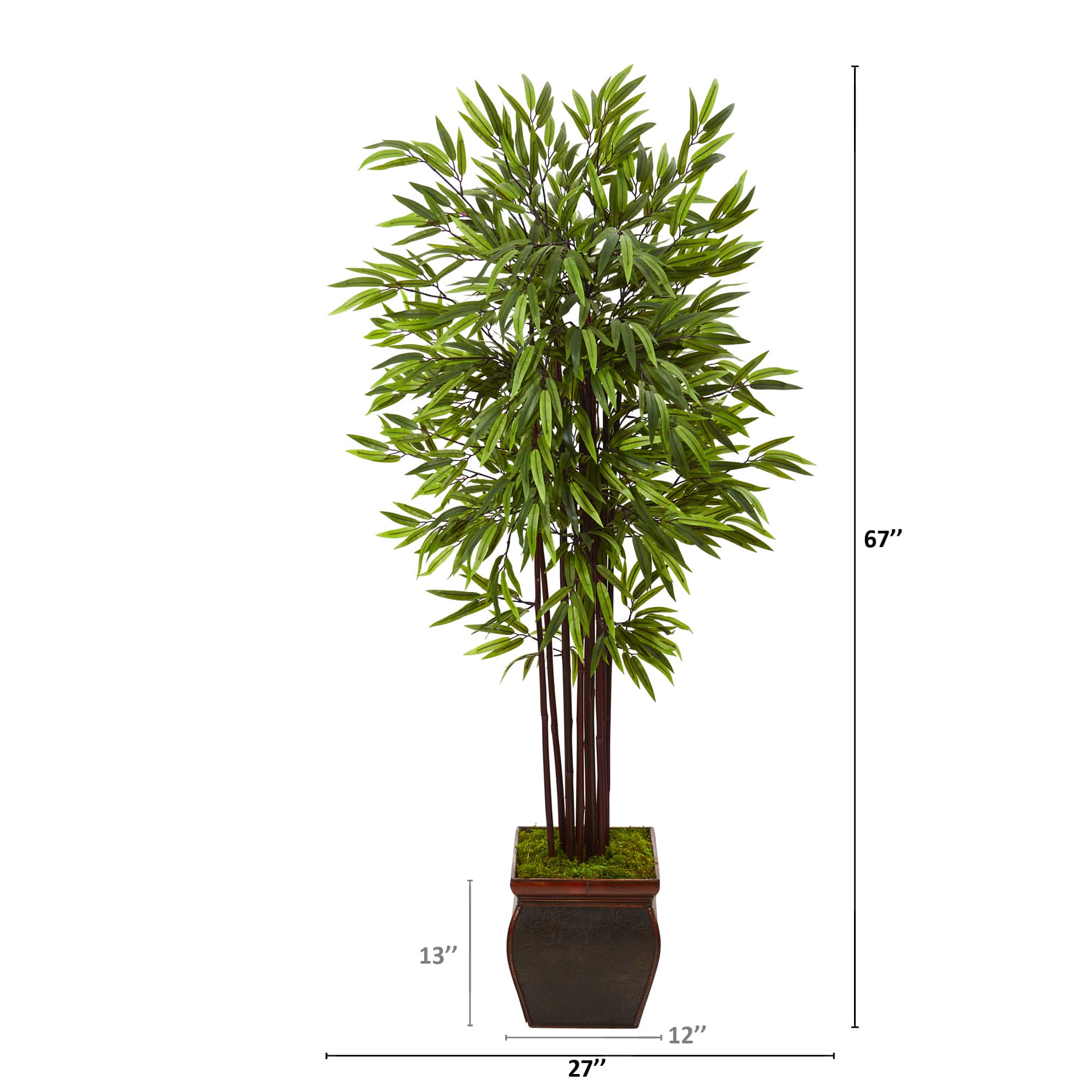 5.5ft. Bamboo Tree in Decorative Planter